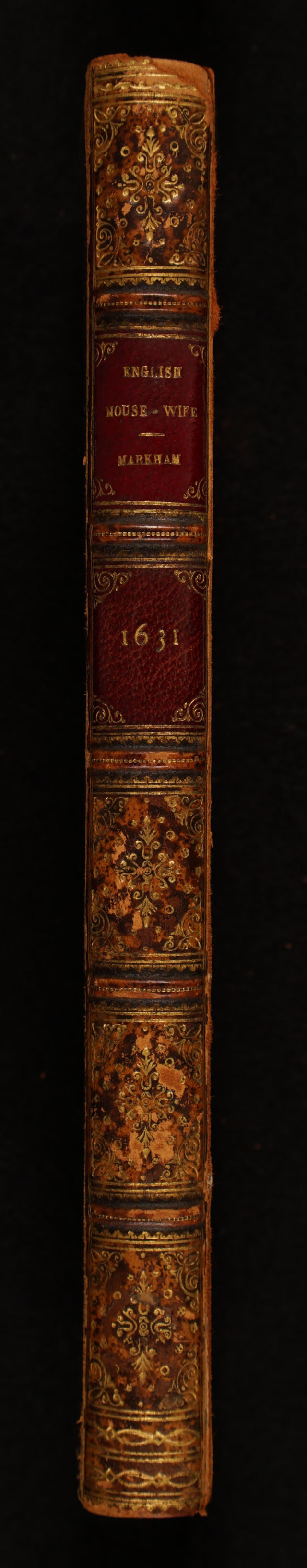 No text description is available for this image