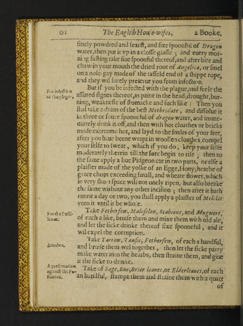 finely powdred and fear ft, and fixefpoonfui of Dngett water,then put it vp in a cloflfe giaite j and euery mor- ni ig fafting take flue fpoonful thereof,and atter bite and chaw in your mouth the dried root of Angelica, or fmel on a nole-gay made of the tafteld end of a fhippe rope, and they wil finely prcicrue you from infc<5hon. Forinf^kn - you,beiafeftcd with the plague,and feele the ot tbepl?gw, a (lured fignes thereof,as paine in the head,drought,bur¬ ning, weaknefle of Oomacke and fuch like : Then you (hal rake a dram of the beft Mtthridate , and difiblue it in turee or foiire fpoonctul of dragon water, and imme¬ diately drink it offend then with hot cloathes or bricks made extreame hot, and layd to thefoales of your feet, aftei you h.;u? beene wrapt in woollen cloa|hcs,compe! your fclfe to Iweat, which if you do, keep your feJtc moderately therein till the fore begin to rife ; then to the fame apply a liue Pidgeon cut in two parts/ or elfc a plaifter made of theyolkeof an EggcJ-lonyshearbc of grace chopt exceedingTmall, and wheate flower, which in very fho tfpace will not onely ripen, butalfobreake the fame without any other incifion ; then after it hath i unne a day or two, you ihall apply a plaiftcr of Melt let ynto it vnti! it be whoic. FortfcPefti- - Fetbetfew, Mali felon, Scabious, and Mugxvort, Icnoc. each a like, brtufc them and mixe them with old ale and let the ficke drinke thereof fixe fpooneful, and it wil expel the corruption. ** a^e Tan ow>7 f *t her few ^ of each a handful, &noihcr. and brude them vvel together, then let the ficke party make water into the heurbs, then ftrainc them, and due it the ficke to drinke. & agaitiii theF*» e °f ■>Fue^Brier leaues,or Flderleaues,o\ each lienee. an handful, ftatnpe them and limine them w ith a quart of