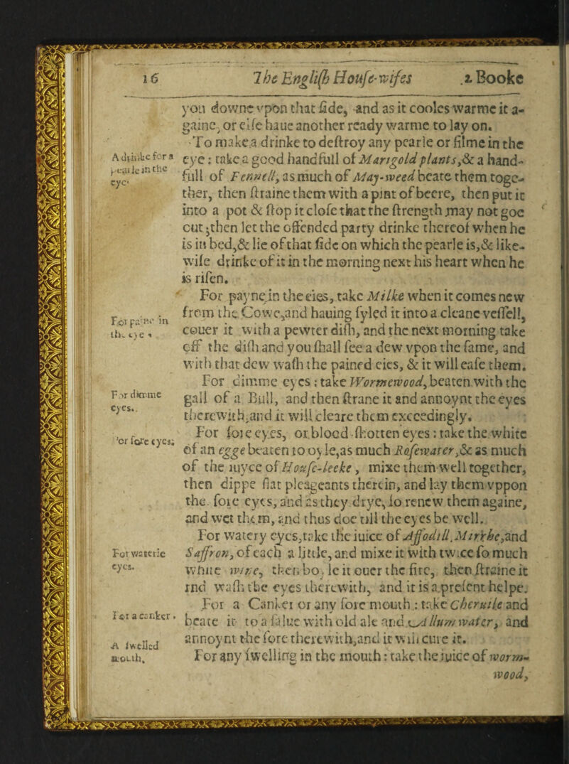 y-t:;u ie in eye you downs vpon that fide, and as it coolcs warms it a- gainc, or clfe haue another ready warme to lay on. To makes drinke to deftroy any pearle or filme in the a winkc for a Cy e. take a good hand full of Mangold plants,& a hand¬ ful! of Fennell, as much of May-weed beate them toge¬ ther, then (frame them with a pint of beere, then put it into a pot & flop itclofe that the ftrength may not goe cut jthen let the offended party drinke thereof when he is in bed,& lie oftnat fide on which the pearle is,& like- wife drinke of it in the morning next his heart when he is rifen. For .paynejn theeies, take Mi Ike when it comes new from the.Cowc,and hatting f’ylcd it into a cleans vcflcl!, couer it with a pewter difh, and the next morning take eff the difh and you fhall fee a dew vpon the fame, and with that dew wafh the pained eics, & it willeafe them. For dimme eyes: take Wormervood, beaten with the gall of a Bull, and then ftrane it and annoy nt the eyes thcrcwith;and it wilicleire them exceedingly. For foie eyes, or.blood fkotten eyes: take the whits of an egge beaten to oyie,as much Roifeivater,& as much of the i.uyce of Houfe-leeke, mixe them well together, then dippe fiat plcageants therein, and lay them vppon the. foi e eyes, and as they, drye, io renew them againe, and wet them, and thus doc till the eyes be well. For watery eyes,take iHciuicc of dffodtll ,M tr'rhe,znd Saffron, of each a little, and mixe it with tw.ee fo much whits jvipe, thenbo>lcit ouer the fire, then firaineic rnd wafh the eves therewith, and it is a prefent helpe. For a Canker or any fore mouth : take cheruile and beate ir to a f'alue with old ale exv.dxyi llum water, and annoynt the fore therewith,and it will cure it. For any (welling in the mouth: take the juice of worm¬ wood, For pa;m’ in lb- t>e •« F.->r dkr.mc C)CS. :cr lore tycs; Fot W2seric eyes. For a esnker. Iwcllsd acuh.