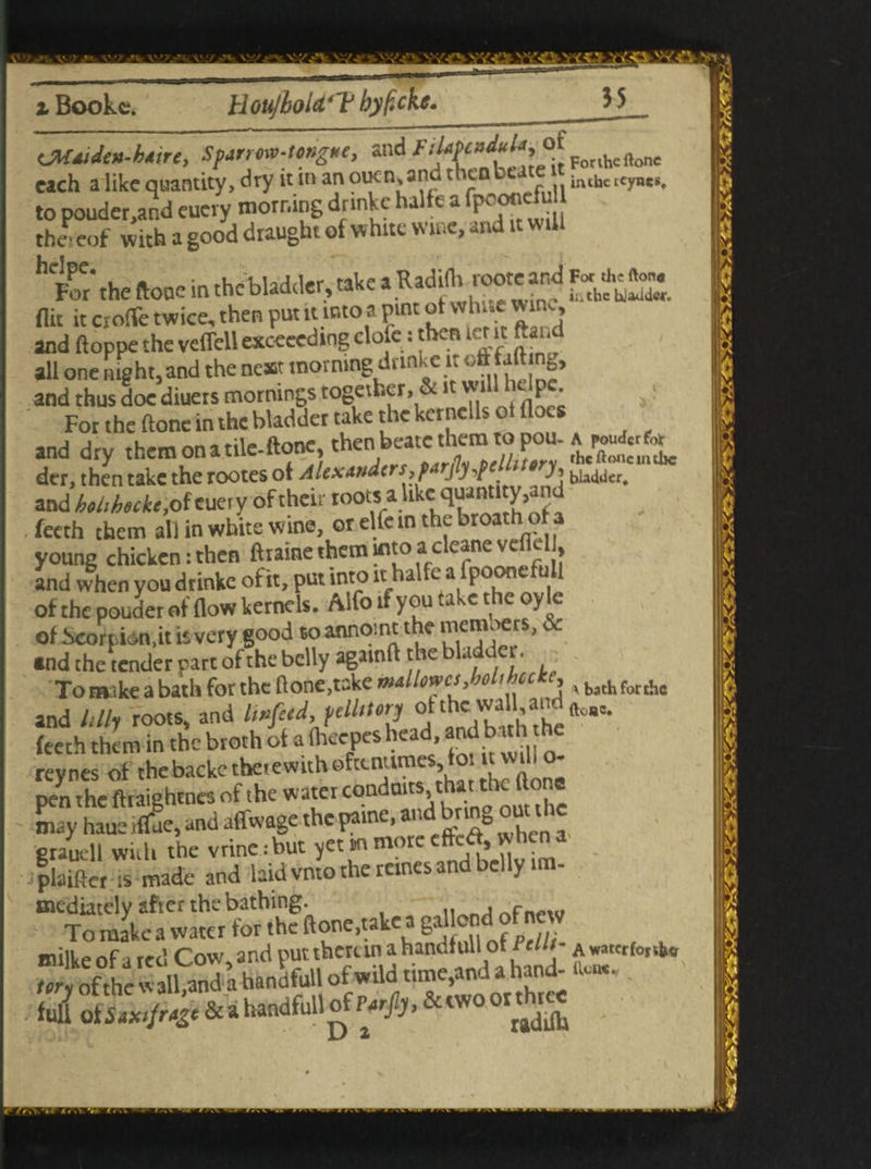 <jM4><U»-k*iT', Sparrewtong*', and **£*££»‘>i[Forlhe«on« each a like quantity, dry it m an oucn,and thtnbtate t iiuhtltynes. to pouder.and euevy morning drinkc halfe a fpooncfu the? eof with a good draught of whitc w u c, an h For* the (tone in the bladder, take a Radilh roote ad *«*£-. flit it cioffe twice, then put it into a pint ot white win,, and ft oppe the vcflell exceeeding dole: then i .nt ftar, all one night, and the nest morning drinkc it oft. taft ng, and thus doe diuets mornings together, &i .P*’ For the ftone in the bladder take the kernclL c floes and dry them on a tile-ftone, then beatc them to pou. ^ der, then take the rootes ot Alexanders parjly^clht.ry and hhhecke, of euety of their toots alike quantuy,and fecth them all in white wine, or elfein thebroathofa young chicken: then ftiaine them into at eanevc , , and when you drinkc of it, put into it halfea ipoortefull of thepouderot flow kernels. Alfo if you take the oyle of Scorpion,it is very good soannoint the members,r and the tender part of the belly againft the bladder. To make a bath for the ftone,take mdlowcs, jo i cc , , bath for the and hilt roots, and linjied, pellitory of the wall and ^ Sh tht^ the broth if a flieepes head and bath the reynes ot thebackethetewithoftcn.tmes to « wd! o- pen the fttaightnes of the water eondmtsthattheft may haue rflfae, and affwage the pamc, and bring out flic grauell wuh the vrine:but yet m more cftca,whena plaifter is made and laid vnto the rernes and belly tm- mediately after the bathing. To male a water for the ftone,take a gal ond of new milke of a red Cow and put therein a handtull of edit- A “ of t he a band t handfull of wild time,and a hand- a*.