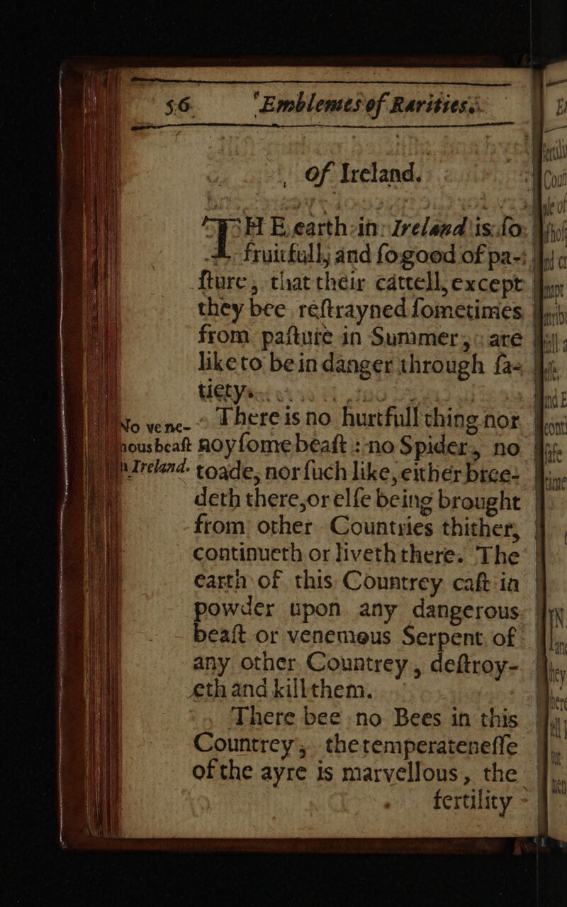 No ve ne- _ Of Ireland. | ae H E.earth:in: Ireland is:do: Yip) -&amp; fruitfull; and fogoed of pa-: } fture , that their catcell, except j, they bee. reftraynedfometimes I, liketo bein danger through {a= | UG oi oi a bi dad fore f There is no hurtfull thing nor in Ireland. toade, norfuch like, either bree: deth there,or elfe being brought from other Countries thither, | continueth or liveththere. The’ | earth of this Countrey cak-ia powder upon. any dangerous. beaft or venemeus Serpent: of | | any other. Countrey, deftroy- ethandkillthem. There bee no Bees in this Countrey’, thetemperateneffe ofthe ayre is marvellous, the jf, fertility ~ |