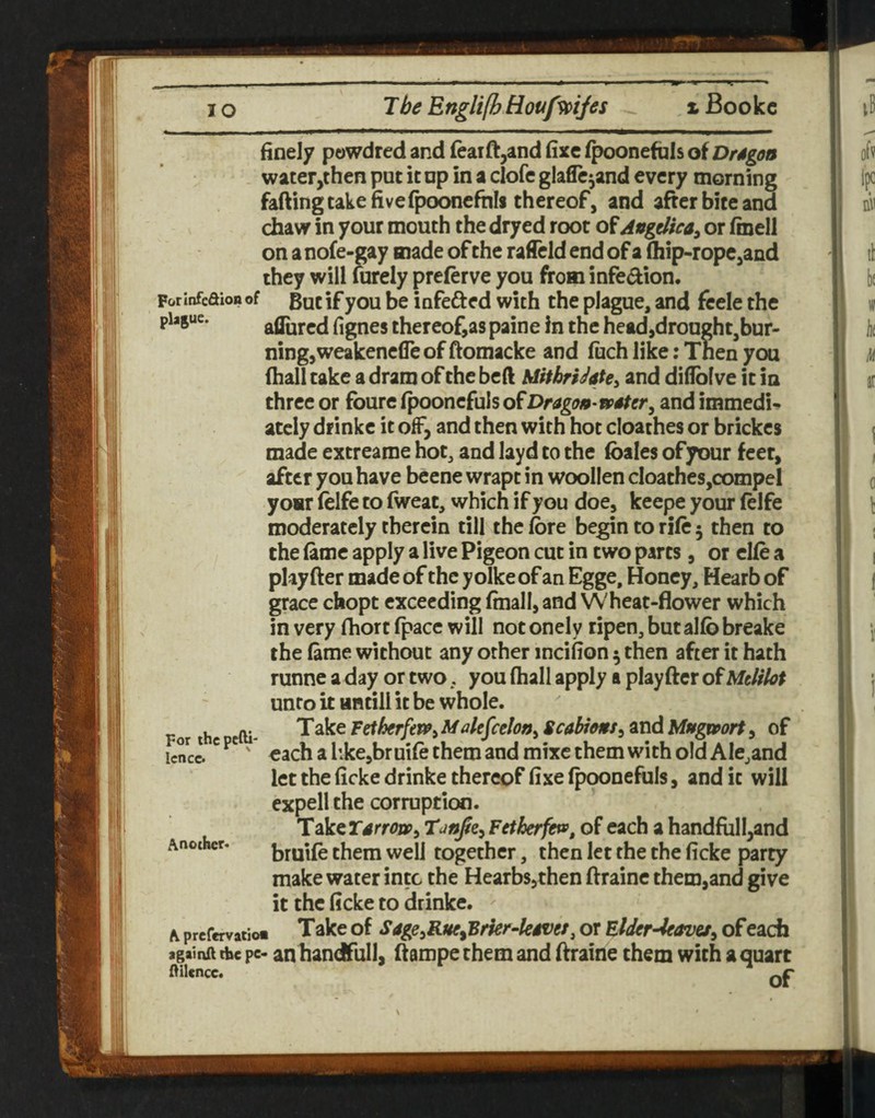 finely pewdred and {eaift,and fixe (poonefuls of Drsgon water,then put it op in a clofe glaffe^and every morning fading take five fpooncfhls thereof, and after bite and chaw in your mouth the dryed root of Angelica^ or finell on a nofe-gay made of the raCeld end of a (hip-rope,and they will furely preferve you from infedion. Forinfcaion of |f you be infeftcd with the plague, and feele the afliircd fignes thereof,as paine in the head,drought,bur¬ ning, weakenclTe of (iomacke and fuch like; Then you (hall take a dram of the beft MithriJatCy and diflblve it in three or foure (pooncfuls of Dragon-faster^ and immedi¬ ately drinke it off, and then with hot cloathes or brickcs made extreame hot, and layd to the foales ofyour feet, after you have beene wrapt in woollen cloathes,compel your (elfe to (wear, which if you doe, keepe your (elfe moderately therein till the fore begin to rile 5 then to the ftme apply a live Pigeon cut in two parts, or el(e a playfter made of the y olke of an Egge, Honey, Hearb of grace chopt exceeding (mall, and Wheat-flower which in very fhort fpace will not onely ripen, but alfo breake the (ame without any other incifion 5 then after it hath runne a day or two, you (hall apply a playfter of Mtlilot unto it HHtili it be whole. icnU ^ ' €ach a like,br uifo them and mixe them with old AIe,and let the (icke drinke thereof fixe (poonefuls, and it will expell the corruption. Take Yarrov^ Fetherfev, of each a handfull,and Another. gjuife them well together, then let the the ficke party make water into the HearbSjthen ftraine them,and give it the ficke to drinke. ' A prefervatio* T ake of SageiRue^Btkr-lesvefj or Elder-^avef^ of each againft the pe- an handfull, if ampe them and ftraine them with a quart of ftilcncc.