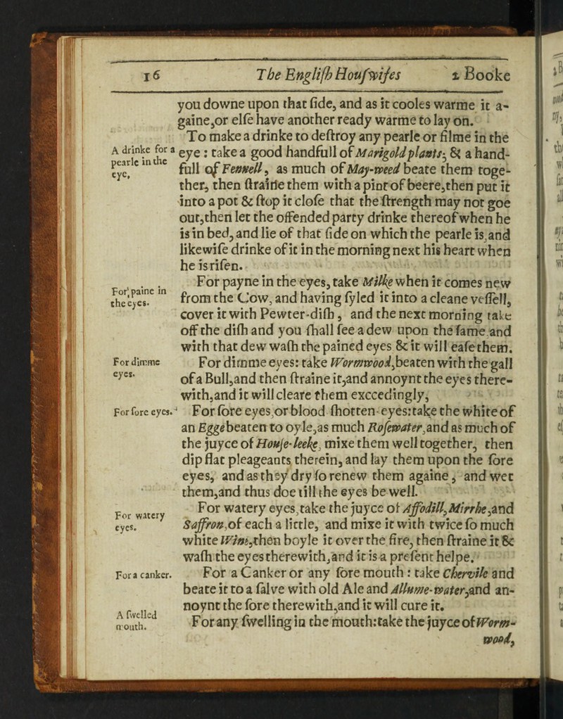 you downe upon that fide, and as it cooles warme it a- gaine,or elfe have another ready warme to lay on. To make a drinke to deftroy any pearic or filme in the A drinke for a gyg. tgjje ^ good handfull of Mangold/> W/* 8? a hand- pear c mt c ^ as much of May-med beate them toge¬ ther, then ftrairle them with a pint of beere,then put it into a pot & ftop it dole that the ftrength may not goe outjthen let the offended party drinke thereof when he is in bed, and lie of that fide on which the pearle island likcwile drinke of it in the morning next his heart when heisrifen. . . For payne in the eyes, take when it comes new fheejcr*^^6 Cow, and having fylcd it into a cleane veflell, cover it with Pewter-difii, and the next morning take off the dilh and you fhall fee a dew upon the fame and with that dew wafh the pained eyes 8c it wil I eafe them. For difnme eyes: take Wormwoodwith the gall of a Bulljand then ftraine it,and annoynt the eyes there¬ with,and it will cleare them exceedingly, For fore eyes. Fot fore eycs^ot blood fliottcn eyes: take the white of an E^ebeaten to oyle,as much Rofewater.and as much of the juyee oiHouje-leekg, mixe them well together, then dip flat pleageants therein, and lay them upon the fore eyes, andasthey dry forenew them againe, and wet them,and thus doe till the eyes be well. For watery eyes,take the juyee o\ Affbdill,Mtrrhe Saffrof^,oi each a little, and mixe it with twice fo much white Wim^Kheu boyle it over the fire, then ftraine it 8c wafli the eyes therewith,and it is a prefent helpe. For a Canker or any fore mouth: take Chervik and beate it to a (alve with old Ale and Mlnme-waUr^md an¬ noynt the fore therewith,and it will cure it. For any fwclling ia the mouth:take the )\xyc£o{Worm'- woody Fordlrrmc eyes. For watery eyes. For a canker. A fwelled nouth.