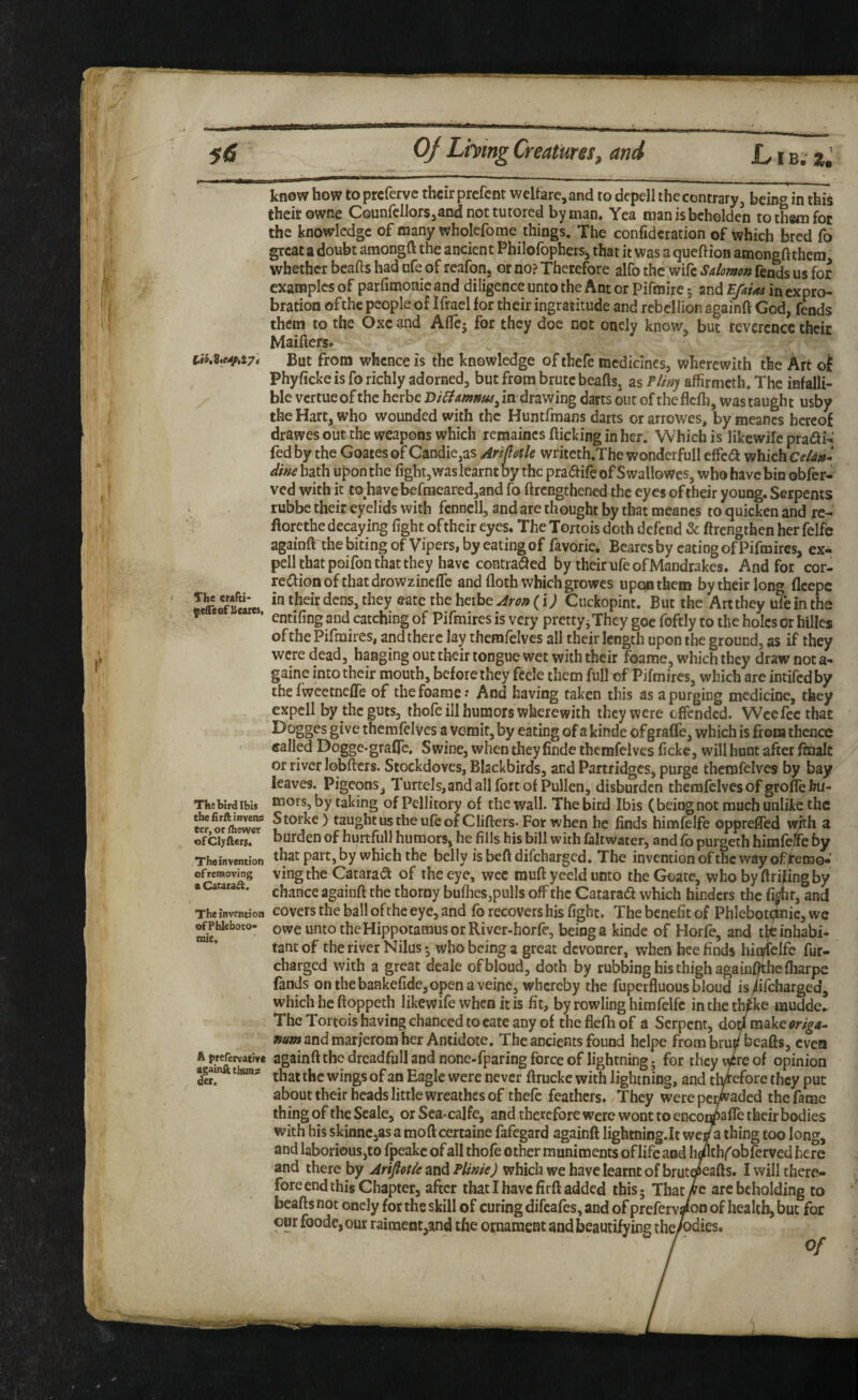 5<J 0/ Lhmg Creatures, and JL i b. know how toprcferve their prefent welfare, and to depell the contrary, being in this theitowne CQunfcllorSjand not tutored by man. Yea man is beholden to them for the knowledge of many wholefome things. The confidcration of which bred fo great a doubt amongft the ancient Philofophers^ that it was a queftion amongft them whether beads had ufe of reafon, or no? Therefore alfo the wife Salomon fends us for examples of parfitnonie and diligence unto the Ant or Pifroire 5 and ’Efaiaa in expro- bration of the people of Ifracl for their ingratitude and rebellion againft God, fends them to the Oxc and AfTcj for they doe not onely know, but reverence their Maiders* But from whence is the knowledge of thefe medicines, wherewith the Art ot Phyficke is fo richly adorned, but from brute beads, as P/lny affirmeth. The infalli¬ ble vertue of the herbe Bi^amnus^ in: drawing darts out of the flcfli, was taught usby the Hart, who wounded with the Huntfmans darts orarrowes, by meancs hereof drawes out the weapons which remaincs dicking in her. Which is likewife pradH fed by the Goates of Candie,as Arijlosle writeth.The wonderfull effca which Celan-i dinehdXh upon the fight,waslearntby thcpraaifeofSwallowcs, whohavebin obfer- ved with it to haveberraeared,and fo drengthened the eyes of their young. Serpents rubbe their eyelids with fenncll, and are thought by that meancs to quicken and re- dorethe decaying fight oftheir eyes. The Tortois doth defend & ftrengthen her felfe againd the biting of Vipers, by eating of favorie. Bearesby eating of Pifmires, ex* pell that poifon that they have contra^ed by their ufe of Mandrakes. And for cor¬ rection of that drowzinefle and doth which growes upon them by their long flcepc lefferfBeires t^eir dens, they eatc the herbe (i; Cuckopint. But the Art they ufe in the ^ * entifing and catching of Pifmires is very pretty^ They goc foftly to the holes or hides of the Pifinires, and there lay themfelves all their length upon the ground, as if they were dead, hanging out their tongue wet with their foame, which they draw not a- gainc into their mouth, before they feele them full of Pifmires, which are intifedby the fwcetnefle of the foame •* And having taken this as a purging medicine, they expcll by the guts, thofe ill humors wherewith they were efipended. Weefeetbat Dogges give themfelves a vomit, by eating of a kinde ofgraffe, which is from thence called Dogge-graOc, Swine, when they finde themfelves ficke, will hunt after ftnalt or river lobders. Stockdoves, Blackbirds, and Partridges, purge themfelves by bay leaves. Pigeons, Turtels,and all fort of Pullen, disburden themfelves of grofe bu- Thebirdibis KJors, by taking of Pellicory of the wall. The bird Ibis (beingnot much unlike the Storke) taughtustheufeofClidcrs.Forwhenhe finds himfelfe opprefled with a ofciyfters. bufden of hurtfull humors, he fills his bill with faltwacer, and fb purgeth himfe/fe by Theinvention that part, by which the belly isbeddifebarged. The invention of the way off emo« o^®°ving vingthe CataraCl of the eye, wee mud yeeld unto the Goate, who by driiingby a Cataraft. ^hance againd the thorny bullies,pulls offthc Catarad which hinders the fiSt, and Theinvention covets thc ball of the eye, and fb recovers his fight. The benefit of Phlebot^nic, wc of Phieboto- ovve unto the Hippotamus or River-horfe, being a kinde of Horfe, and tte inhabi¬ tant of the river Nilus *, who being a great devourer, when bee finds hi^elfe fur- charged with a great deale ofbloud, doth by rubbing his thigh againfkhefliarpe fands onthebankefidejopenaveine, whereby the fuperduous bioud isiifcharged, which he doppeth likewife when it is fit, by rowling himfelfe inthethfke mudde. Thc Tortois having chanced to cate any of thefiefhof a Serpent, dou make and marjerom her Antidote. The ancients found hclpe from bruiTbeads, even ^ againd the drcadfull and none-fparing force of lightning; for they v^re of opinion agamft thuBs diucke with lightning, and tlyrefore they put about their heads little wreathes of thefe feathers. They were pomaded the fame thing of the Scale, or Sca-calfe, and therefore were wont to enco^afle their bodies with his skinncjas a mod certaine fafegard againft Iightning.It we71 thing too long, and laborious,to fpeakc of all thofe other muniments of life aod hetlthCobferved here and there by Arlfiotle and Plinie) which we have learnt of bruto^eafts. I will there¬ fore end this Chapter, after that I have fir ft added this; That/e arc beholding to bcafts not onely for the skill of curing difeafes, and of preferv^on of health, but for cur foode,our rairaent,and the OKnameflt and beautifying the/odies. /■ Of