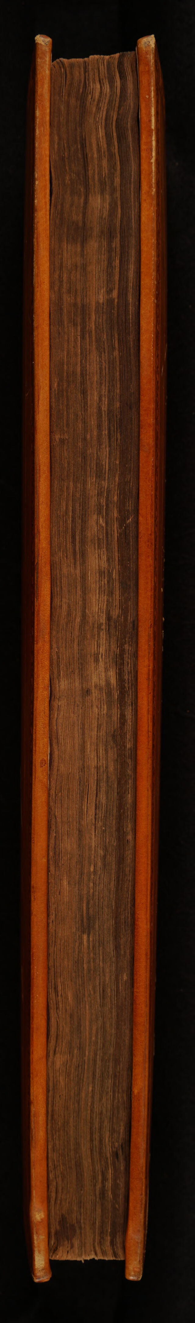 No text description is available for this image