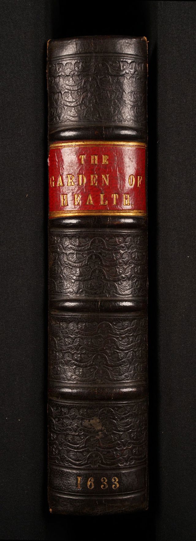 digitised image 2