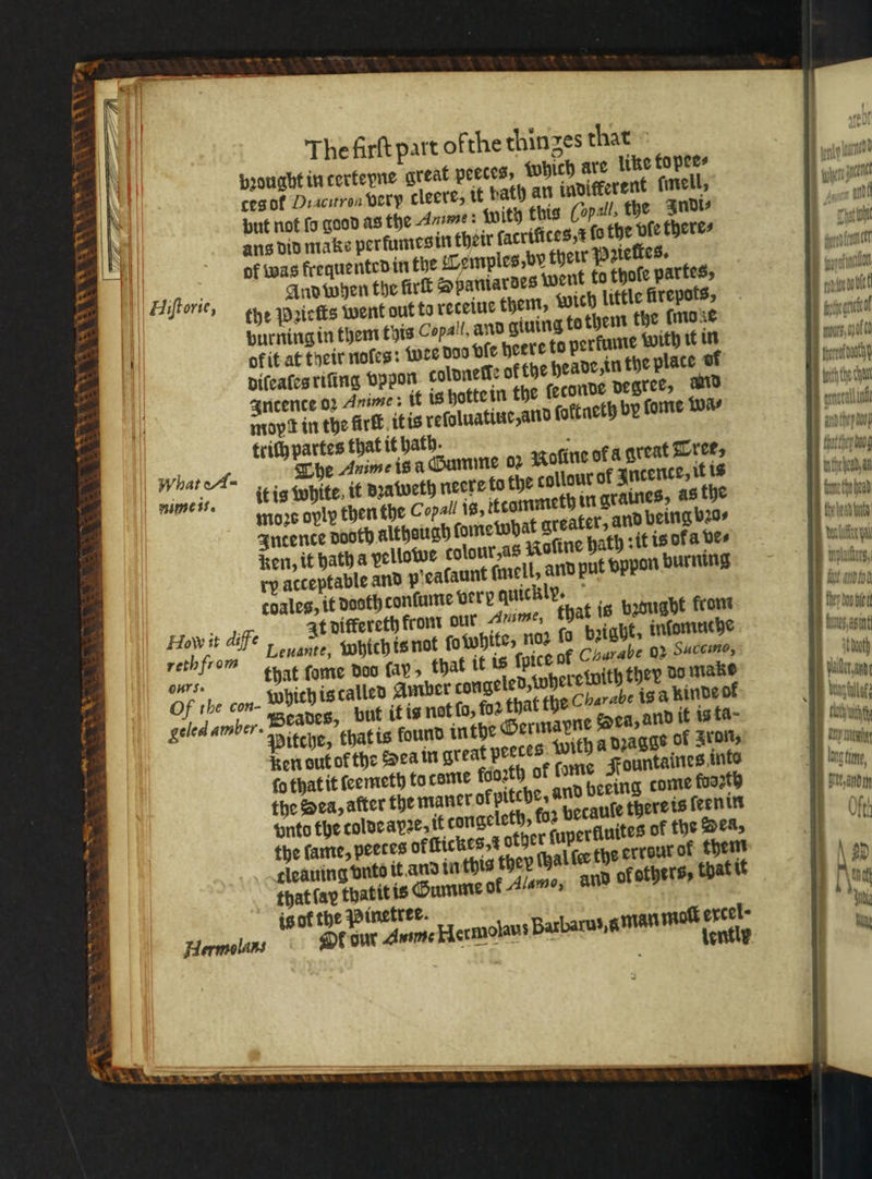 COV Fa — \ ™ ok x — : wa | N N quay ey: SR The firſt part ofthe thinges that © pꝛought in terteyne great peeces, which are like topee⸗ ces ot Diacitron very cleere, it bath an inditkerent ſmell, put not fo good as the dame: with this (vp all, the Indi⸗ ans did make perfumes in their ſacrilices, x fo the vſe theres of was frequented in the Temples, by their Pꝛieſtes. Hiftorie And when the firſt Hpaniardes went to thofe partes, „tze Paiefts went out to reteiue them, wich little firepots, purning in them this Copa. and giving to them the imo ne ok it at their noles: wer 099 vſe here to perfume with tt in diſeaſes riſing vppon coldnelle of the heade, in the place of Incence 02 Anime: it is hotte in the ſeconde degree, and mopſ in the frſt it is reſoluatiue, and ſoktneth by ſome Wa⸗ trich partes that it hath. : The Anime isa Gumme 02 Naſine ok a great Tree, it is White it dꝛaweth neere to the collour ol Incence⸗ it is moꝛs oply then the Copall is, ttommeth in graines, a8 the Incence pooth although ſomewhat greater, and being bꝛo⸗ ken, it hath a vellowe colour, as Koſine path ꝛit is ofa ve⸗ nd pieafaunt smell, and put vppon burning me vere sien ; 9 1 2 r Anime, that is beoug ont 55905 aiff Leuant ſo bight, inſomuche Miers that fo Charabe 02 Succimo, Of the con- which is called her do make geled amber. Beades, but it is not is a kinde ol Pitche, that is found inthe and it is fa- ken out of the Dea in great perres. with a dꝛagge of ron, fo that it ſeemeth to come fooꝛth of forte Fountaines inte the Sea, after the maner of pitche, and beeing come foo2th vnto the colde apꝛe, it congeleth, fo2 vecaule there is ſeen in the lame, peeces offtickes,¢ other ſuperkluites of the Sea, cleauing vnto it and in this they Thal ſer the errourof them that lav thatit is Gumme ol Alamo, and ok others, that it is ol the Pinetree. Hermolans Ok dur Ame Hermolaus Barbarus, a man mot wes at a e min abt ratte mum opof tere bat fit the cant enor in and they 0p fhattnep og inthe oad a fame fe ead the head bata Wiler pal inplathers, fit an fod they doo be nes, ent 0) Wier anne ili; och uche Arty mn long fe,