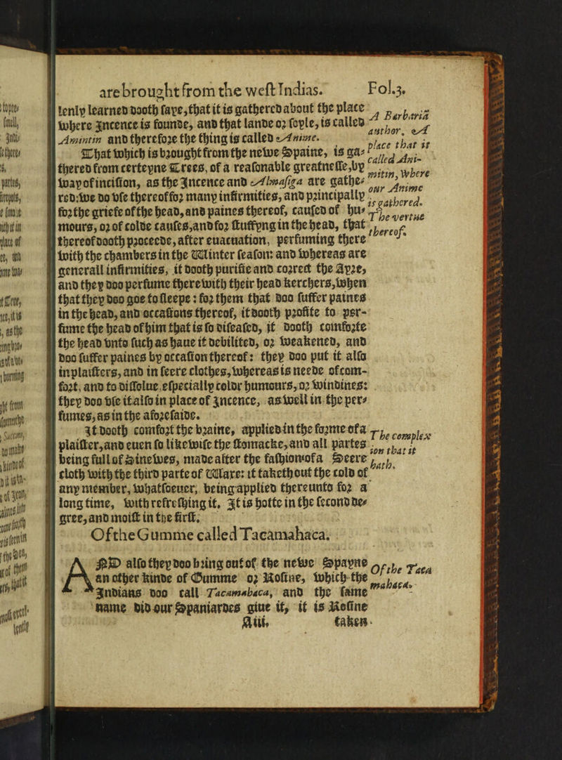 | are brought from the weft Indias. Fol. 3. lenly learned dooth ſape, that it is gathered about the plate | np wis | where zncence ts founde, and that lande oꝛ ſople, is called e Aumintin and therefore the thing is called Anime. fe 53 | What which is brought from the newe Spaine, is ga- % . thered krom certeyne Cres of a reafonable greatnetle,by u wapokinciſion, as the Incente and Aluaſiga are gathe⸗ Be whee ius, rod: we do ble thereoffoz many infirmities, and paincipally °”” 5 i : 4 me forthe qriefe ofthe head, and paines thereof, tauſed ol hu⸗ 1 55 25 75 ith ait mours, 02 of colde canfes,andfo2 ſtuffpng in the head, that ee ate af thereof dooth pꝛoceede, after euacuation, perfuming there : et, ith bith the chambers in the Minter ſeaſon: and whereas are mov generall infirmifies, it dooth purifie and cozrect the Apꝛe, and they doo perſume there with their head kerchers, when (Tree, that they deo goe to ſleepe: fo2 them that doo ſuffer patnes any member, whatldeuer, being applied thereunts for a long time, with rekreſthing it. It is hotte in the ſecond de⸗ gree, and moiſt in the firſt. Ofthe Gumme called Tacamahaca. ˖ at ius Ans beiti in the head, and occaſtans thereof, it dooth pꝛofite to per- ast tume the head of him that is ſo diſeaſed, it dooth comloꝛte 4 hn, the head vnto ſuch as haue it debilited, oꝛ weakened, and 2 ue / dos ſuffer paines by actaſion thereof: they doo put it allo A s bur inplaiſters, and in leere clothes, whereas is neede ofcom- 7 tat and to diſſolue eſpeciallp color humours, oꝛ windines: 1 Kn they doo bie it alſo in place ot zncence, as well in the per⸗ 4 ch fumes, as in the afoꝛeſaide. : 4 bn, . It dooth comfost the bꝛaine, applied in the foꝛme ora 2% „e J pital plaiſter, and euen fo like wiſe the ſtomacke, and all partes ad BS is 5 2 jut being full uf s inewes, made alter the fachionoka Seere 4 nit wt cloth with the third parte of Maxe: it takethout the cola of 4 | 4 | malaca.