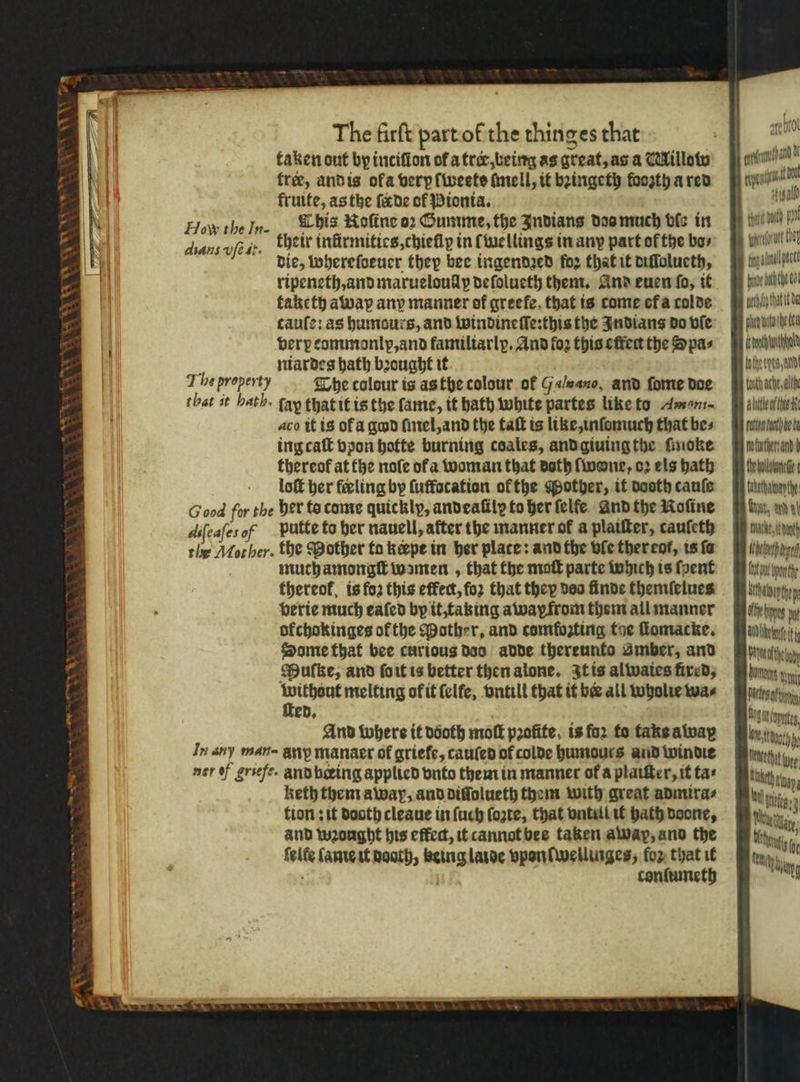 V3 XV we 8 W N es — my — — = ao ee et The firſt part of the thinges that taken out by inciſion of a tree, being as great, as a Millow fre, and is ofa very ſweete finell, it bꝛingeth foozth a red kruite, as the fede of Pionia. How theIn- This Roſine or Gumme, the Indians dos much ble in dans vſg it. kheir infirmities, chielp in ſwellings in any part of the bas die, whereſoeuer thep bee ingendꝛed for that it diſſolueth, ripeneth, and marueloullp deſolueth them. And euen fo, it taketh away any manner of greefe that is come of a colde caufe: as humours, and windineſſe:this the Indians do vie very commonlp, and familiarly. And fo2 this effect the Spas - niardes bath bought it The property The colour is as the colour of Gan, and ſome doe that it bath. tay that it is the fame, it bath white partes like to A aco it is of a god ſmel, and the taſt is like, inſomuch that bes ing caſt vpon hatte burning coales, and giuing the finoke thereof at the nofe of a woman that doth wenne, o2 els hath lof her feeling by ſuffocation ol the Mother, it dosth cauſe Good for the her to come quickly, andeaſile to her ſelfe And the Noſine difeales of putte to ber nauell, after the manner of a plaiſter, cauſeth the Mot her. the Mother to keepe in her plate: and the vle ther eol, is fe much amongſt wamen , that the maſt parte which is ſpent thereof, is fo2 this effect, foꝛ that they deo finde themſelues verie much eaſed by it, taking awayfrom them all manner ofchokinges of the Mother, and comfozting the ſlomacke. Dome that bee curious doo adde thereunto amber, and Mulke, and ſo it is better then alone. zt is alwaies fired; bts melting of it felfe, vntill that it bee all wholie was ed. And where it dooth moſt profife, is for to taks away In any man- any manaer of griefe, cauſed of colde humours and windie ner of ersefe. and bering applied vnto them in manner of a plaiſter, it tas keth them away, and diſſolueth them with great admira⸗ tion: it daoth cleaue in ſuch ſozte, that vntill it hath doone, and wꝛonght his effec, it cannot bee taken away, and the ſelle lame it dooth, being laide vponſwellunges, foz that it a conſumeth ore 10 enn 0 i fal duit u 42 Wau eh tn anal pce tne bth Che bol wet) fa tba pu wore i oth tha alittle of tg . rotten tnt} be by no furthers ar U takethatoay he: Mache, kuh (heer ae lato ponte bethatpant ty he bones vt AND helen ti Pata chy amm yy Hates iy ig opt beta tt a