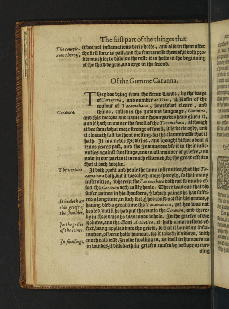 Of the Gumme Caranna. it cleaucth falt without melting, foz the clammineſle that it now in our partes it is much eſteemed, ſoꝛ the great s tfectes that it beth woꝛke. camahaca doth, but it wooꝛketh moze ſperdylp, fo that many infirmities, wherein the I acamabaca doth not fo muche el⸗ fect the Caranna doth eaftly heale . There was one that did ſuffer paines in his choulders, p which paines he had ſufle⸗ Ie healeth an red a long time, in ſuch ſoꝛt, hee could not ſtir his armes e olde griefe of hauing died a great time the Tacamahaca, pet hee was not 7 2 Folder. healed, vntill he had put thereunto the Car anna, and theres by in thee daies he was made whole. In the ariefes of the In thegrifes Jointes, and the Gout Arthetica, it hath a maruellous ef, of the soints. fect,being applied vnto ths griefe, ſo that it be not an inflas mation, oł verie hotte humour, foz it taketh itatwape, with In fvellings, much eafinetie, In olde fivellinges, as well in humours as in windes, it diffglucthiin griefes cauſed by delluxe oꝛ run⸗ ning are wagten Walle ai grief dat of gent ef tain tt fae (ne intercept other parte afthe heats the feeand Alti de githet Cres of fromtent