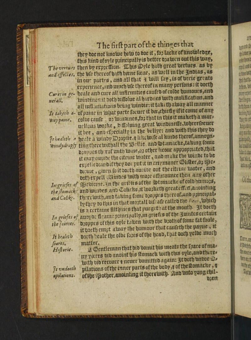 KEV Va = ge Wee NN — 1 &lt;&lt; U * * The firſt part ofthe thinges that they doe not knowe hob to doe it, fo2 lacke of knowledge, this kind okoyle pꝛintipallyis better dzawen out this wap, Thevertues then by expꝛeſlion. This Dole hath great vertues as by and efetles. the vie thereof hath bene fence, as well in the Indias, as in dur partes, and all that 4 will lap, is ol verie greate experience, and much ble thereok in many perlons: it docth Curesin ge- heale and cure all infirmities cauſed of colde humours, and ner all, windines it Doth dillolue al hardnes with molification,and all inflamations being windie: it taketh alway all manner Ie taketh a- of paine in what parte ſoeuer tf bee, chiefly tfit come ot any way paine. colde cauſe 02 windines, foꝛ that in this it maketh a mars uclous wozke, dilloluing great windineſſe, whereſoeuer it ber, and efeectally in the bellye: and with this they do pr healeth = heale a windy Dꝛopfie like wiſe al kinds therok, annopn⸗ winchchepſy tingtherewithall the Bellie and Stomacke-taking fone dꝛenpes th rat torth wine, o other licour appꝛopziated, that it may guoide the citrine water, and m ike the winde to be expelledꝛandikthey dor put it in enymaner Gliſter, oꝛ es dicine, given fo it doeth auside out the titt ine water, and detherpell Mindes with moze afluraunce then any other In griefet of Medicine. an the ariktes ofthe @tomacke of cold dumozs, the fomacke and windes and Tolicke,tt Wozketh qreateffed anointing and Colibe. there with, and taking ſome dꝛoppts thereot, and pzincipal⸗ lpthep do this in that moꝛtall diſ aſe called the leon, Which is à certaine filthines that pur geth at the mouth. It doeth In griefes of àuoyde fleante puncipallp, in ariefes of the Fontes certain the fointei. dꝛoppts ofthis ople taken with the bꝛoth of ſome fat foule, it doeth empt away the humour that caufeth the payne, it In healeth doe th heale the olds ſoꝛes of the head, that doth velde much foares. matter. Hiſtorie. a Gentleman that did vomit his meats the foace of ma⸗ ny vieres did anoint his ſtomack with this ople, andthore⸗ with did recouer t neuer vomitted again: It doth vndoe O⸗ Feundocth pilations ofthe inner parts of the body d of the ſtomacke, e epilasions. ofthe Mother, anointing it therewitg. And unte pang ae 3 te Lote pogo teu ead qo a tr at tna, {Wl many eset feell nas eth them Nene en then dott Mga; any marke Waal, beatrouble eit ee Wicht. mn Apachth fhe an wren he Ny 0
