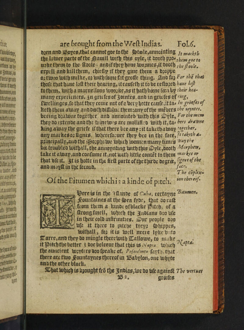 | FH ab idl Uiotolenap, uche un, rts. sy e Adu, Geri great, fons: it octh humos and (fication, and all mamnet Kune gan Hae amar, sfoherefoener hfs thep ds prof, anon ⸗ fabing bone quater, chat Ude tobe Dither c I (pater, and ut arp ate al Atty g VLU 7 ines) 4 ita kointing pas! seve whieh fh, Adoetg ante gcertalt aie fat fv ie pans yl wy he {gate Aa- palate pont 1 f nig pig tl are brought from the Weft Indias. Fol.6. dꝛen and Boyes, that cannot goe to the Stole, anncinting „ ell the lower parte of the Pauill with this opie, it dooth pꝛo⸗ e goe to udke them to the floole: and if they haue wozmes, it dooth ,),, ſloole. expell and killthem, chiellp if they gine them a dꝛoppe 5 62 fivoo with milke, oꝛ with ſome fat groſſe thing. And foz For che thas thoſe that hatie loft their hearing, it cauſeth it to be reſtoꝛed baue loſt to them, with a maruellous wooꝛke, as it hath beene ſeen by their hea⸗ many experiences. zn grieles of Jointes, and in gricfes of ing, keth them away and doth diſſolue them: any ofthe mebers e soyntes. beeing dꝛawne together and annointed with this Ople, For the mem they do extende and the e ine wes are mollificd with it, tas ers drawyne king away the griele il that there bee any: it takethaway (ether. any markes oꝛ ügnes whereſoeuer they bee in the face, 7. labeth a. paincipallp, and the Poꝛphe we which women many times wt le ber troubled withall, the annopnting with this Ople, dooth 74 orphew, take it awap, and conſume it, not with little contẽt to them 747 kes or that vie it. It is hotte in the firſt parte of the thirde degre, bas of the aCCo The coylex- Ol the Pitumen whichis a kinde of pitch. |” thereof Tarre, and they do mingle therewith Tallowe, to make —. the auncient wꝛyters doo ſpeake of. Poſtidonto fayty, that there arc two Fountapnes thereof in Babylon, one whyte and the other black. That which is bzought fro the Indias, we do vſe againſt The vertuef i 1B 2, greeles ke kes SS SS A i 8 n