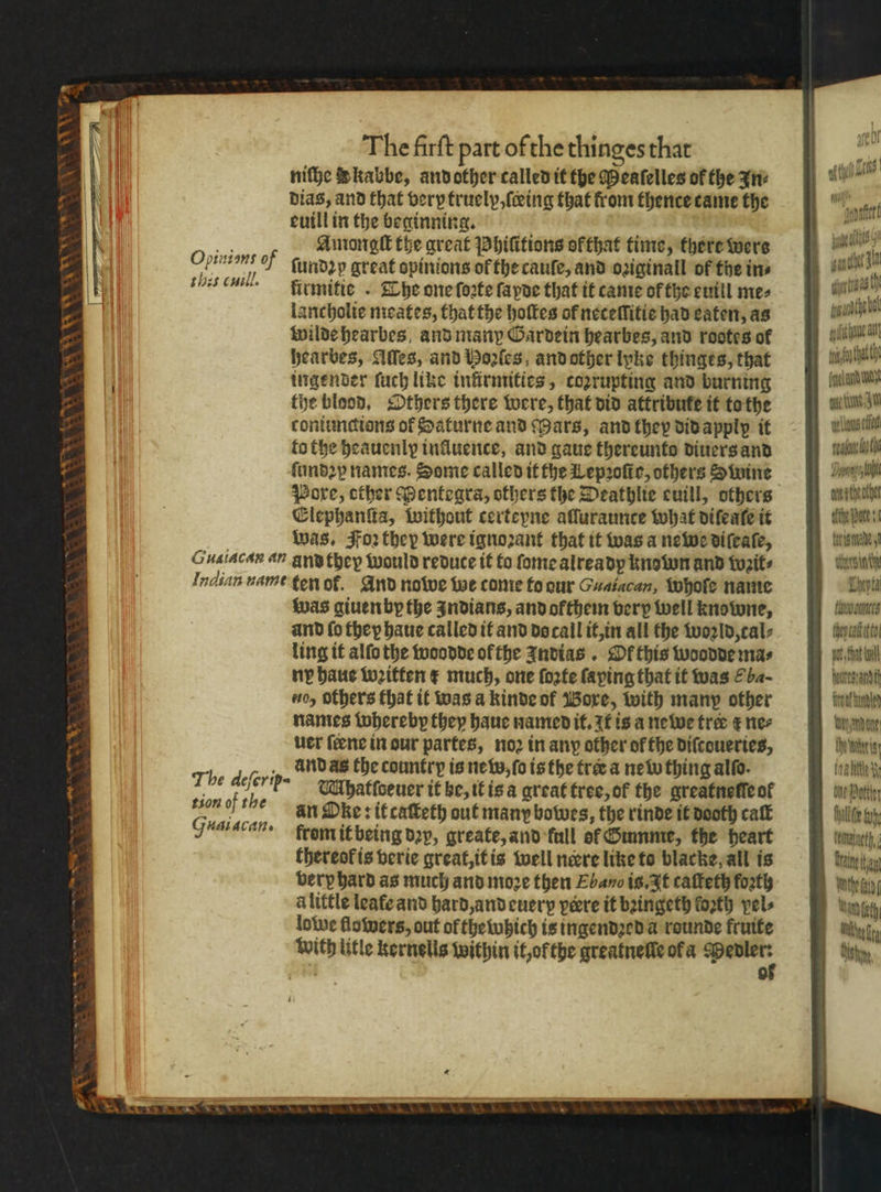 \ WSWS * 4 — n ST WW Fa = The firft part of the thinges that niſhe Skabbe, and other called it the Meaſelles of the In⸗ dias, and that very truely, ſceing that from thence tame the euill in the beginning. Aung the great hiſitions of that time, there wers ſundꝛp great opinions of the cauſe, and oꝛiginall of the in⸗ firmifie . The one forte ſapde that it came of the euill me⸗ lancholie meates, that the hoſtes of neceſſitie had eaten, as wilde hearbes and many Gardein hearbes, and rootes of hearbes, Alles, and Hoꝛſes, and other lyke thinges, that ingender ſuch like inürmities, cozrupting and burning the blood. Others there were, that did attribute it to the coniunctions of Saturne and Mars, and they did apply it to the heauenly influence, and gaue thereunto diuers and ſundꝛy names. Some called it the Lepꝛoſic, others Swine Pore, other Menteagra, others the Deathlie euill, others Elephanſta, without certepne aſluraunce what difeate it was. Foꝛ they were ignorant that it was a newe diſeaſe, Glaiacan an and they would reduce it to ſome already known and wzit⸗ Indian name ten of. And notve we come to dur Guaiacan, whoſe name was giuen by the zndians, and ofkthem very well knowne, and fo they haue called it and do call it, in all the woꝛld, cal⸗ ling it alſo the woodde ol the Indias. Df this woodde mas ny haue wꝛitten x much, one ſoꝛte ſaping that it was a- uo, others that it was a kinde of Wore, with many other names whereby they haue named it. It is a newe tree ⁊ ne⸗ uer ſtene in our partes, noꝛ in any other of fhe diſcoueries, 1 deicha and as the country is new, ſo is the tree a new thing alſo. The deſerip- Vhatſdeuer it be, it is a great tree, of the greatneſſe of an Oke: it caſteth out many bowes, the rinde it dooth caſt from it being dꝛy, greate, and full ef Summe, the heart thereok is verie great, it is well neere like to blacke, all is very hard as much and moze then Ebano is. It cafteth forth alittle leafe and hard, and euerp pere it bꝛingeth forth pel lowe flowers, out of thewhich is ingendꝛed a rounde fruite with litle kernelis within it, or the greatnelle ofa * Opinians of this cuil. tion of the Gua ACAM» he poate je li er tt ante bal iit a (qe l andy ou Cun VM Wes fe suas a Dorset on the othe Ute ate de 5 töne Chepta wall then adit to pet that tl Nes adi fret kunt) Wayandone Ee oi Malle h. tne Potter Halle fa tenant Hane Whe fag Rian eth Wie Mish,