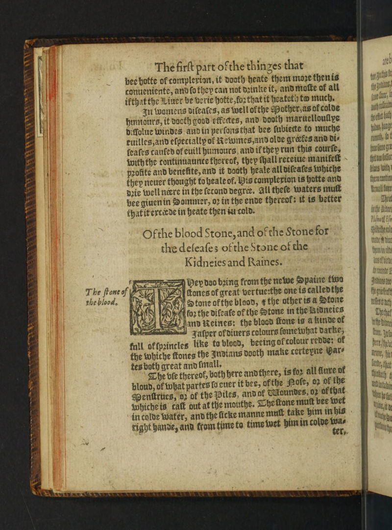 r The firſt part ofthe thinzes that pee hotte of tomplexion, it dooth heate them moze then is conueniente, and ſo they tan not dainke it, and moſte of all ikthat the Winer be verie holte, foꝛ that it heateth to much. zn womens diſeaſes, as well ofthe Mother, as of colde hinmours, it dooth gosd effectes, and dooth maruelloullye euilles, and eſpetially of Rewmes, and olde grerkes and di⸗ ſeaſes canfed of euill humours and ik they run this courſe, withthe tontinuaunte thereof, they ſhall reteiue manifeſt pꝛolite and benefite, and it Booth heale all diſeaſes whiche they neuer thought to heale of. Bis complexion is hotte and dꝛie well nerre in the fecond degree. All theſe waters muſt bee giuen in Bommer, oꝛ in the ende thereof: it is better that it extiede in heate then iu cold. Ofthe blood stone, and of the Stone for the deſeaſes ofthe Stone of the Kidneies and Raines. hey doo bring from the newe Spaine two ctones of great ver tue:the one is calledthe Stone ofthe blood, ¢ the other is a Stone bor the diſeale of the Stone in the Bidneies and Reines: the blood fone is a kinde of FJaſper ol diuers colours ſomewhat darke, full ok ſpꝛincles like to blood, beeing ol colour redde: of the whiche ftones the Indians dooth make corteyne Bare tes both great and lmall. 5 The ble thereof, both here and there, is foꝛ all fluxe ol blond, of what partes fo euer it bee, of the Noſe, 02 of the Menſtrues, 62 of the Wiles, and ol Mundes, 02 of that whiche is caſt out at the mouthe. The lone mutt bee wet right bande, and ttom time to time wet him in colde ps : wis Slit ba tel Achs ) en, doe dal, it rt 0 (elves Wach! Chern conti Twwal fare Theat inthe Brana anal En SAA aner k Mb fe arta nels eth Chechit N tha N a WAY Ahle i, fh Netz ty