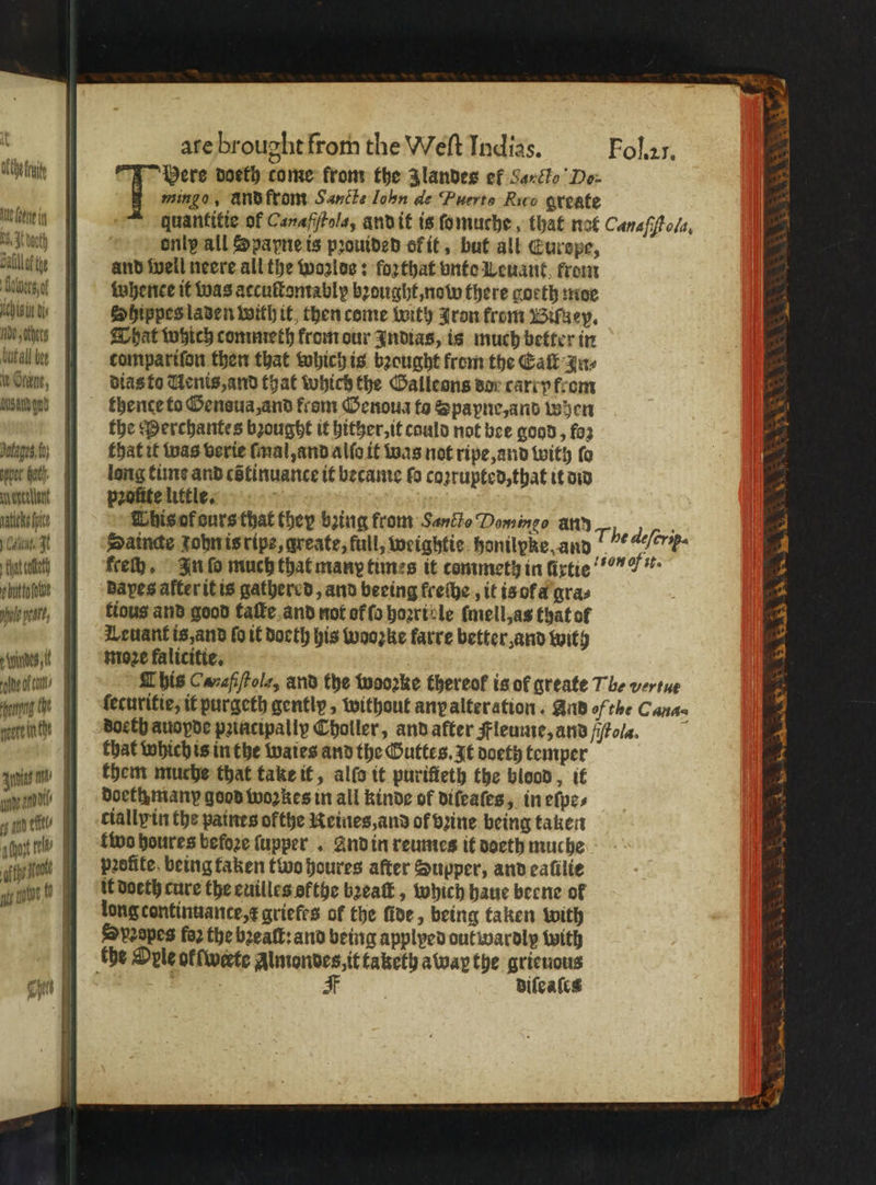 lichen: Here doeth come from the Zlandes ef Sarclo Do- mingo, ànd from Sancte Iohn de Puerto Rico greate leit quantitie of Canafſtola, and it is ſomuche, that not Caneffto/s, . Ah nlp all Spapne is pꝛouided of it, but all Curepe, oalllat tye and well neere all the wozlos: forthat vnte Leuant krom e tubence it was accuſtomablp bꝛought, now there goeth moe fichte d Shippes laden with it then come with Iron from Wifsey, nde het That which commeth krom our Indias, is much better in wutall e compariſon then that which is bꝛeught from the Catt gue u Glen, dias to Uenis, and that which the Galleons dor carry from Mee thence to Gensua, and from Genoua to Spapne, and when the Perchantes bꝛought it hither, it could not bee good, foz Dotages, fn that it was verie ſmal, and alſo it was not ripe and with fo per hac long time and cõtinuance it became fo coꝛrupted, that it did Mertellart profite little. tk it his of ours that they bing from Santo Domingo any The Ag; ale t Saincae fobn is ripe, greate, full, weightie honilpke and eferips tant) keech. In ſo much that many times it commeth in fixtie °° S hn dapes after it is gathered, and beeing frethe , it isofa gra⸗ e, tious and good taſte and not of ſo hoꝛriv le ſmell, as that of ALeuant is, and fo it doeth his woozke farre better, and with des monse lalicitie. | ciate / This Canafiſtola, and the wooꝛke thereof is of greate T be vertue pong Che ſecuritie, it purgeth gently, without anp alteration. And of the Candas gente f Doeth auopde prtacipally Choller, and after Fleume, and fiftola. ö that which is in the waies and the Guttes. It doeth temper ia | them muche that take it, alſo it puriſteth the blood, it 1 doethmany good wozkes in all kinde of diſeaſes, in eſpe⸗ im tf ciallyin the paines ofthe Reines, and of vine being taken ahnt tel two houres befoze ſupper . And in reumes it doeth muche aht pꝛofite being taken two houres after Supper, and eaſilie i 1 it doeth cure the euilles ofthe bꝛeaſt, which haue becne of long continuance, x griefes of the five , being taken with Spꝛopes foꝛ the bꝛeaſt: and being applyed outwardly with the Dole ol ſwerte Almondes, it taketh away the grieuous 4 ya