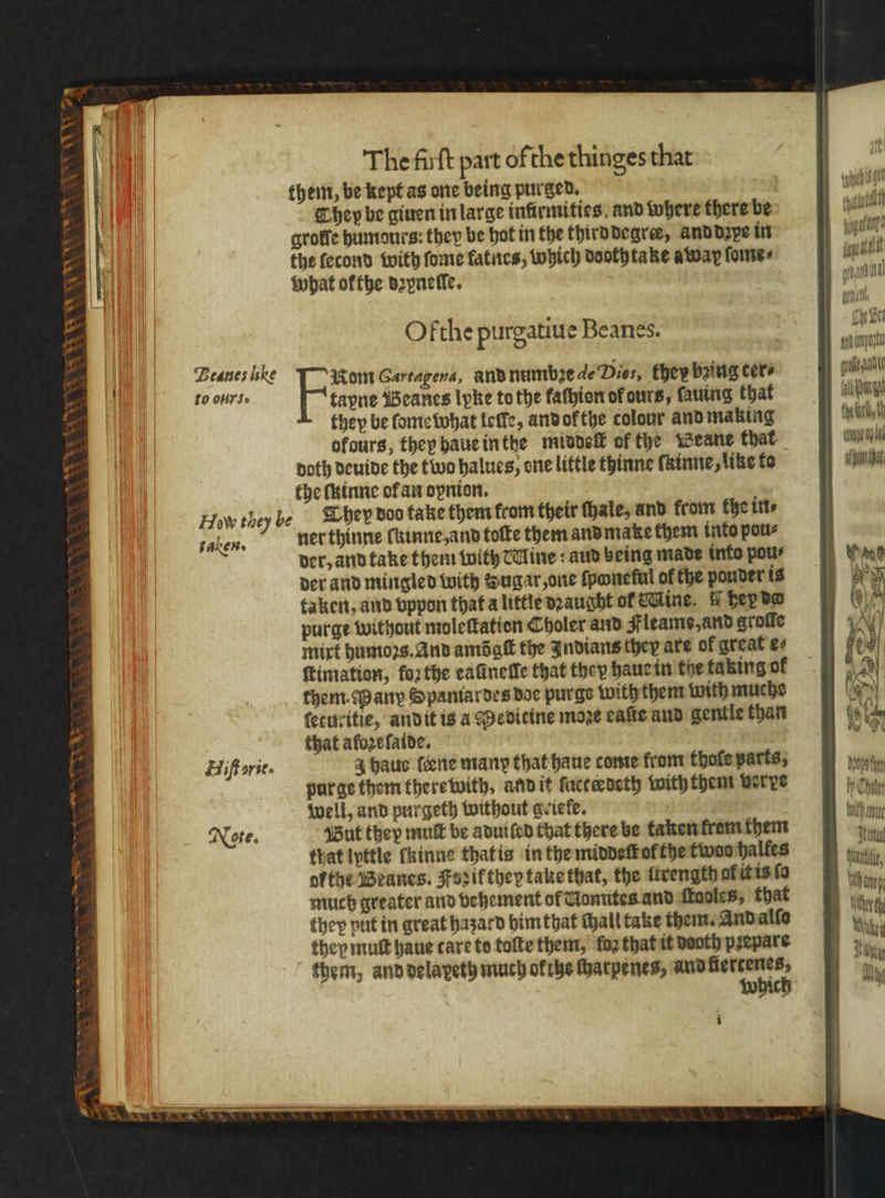 TT Va \ — n 8 8 ox 5 w N ay so. | * The firft part ofthe thinges that them, be kept as one being purged. hey be giuen in large infirmities, and where there be groffe humours: they be hot in the thirddegræ, and depe in what ok the dꝛpneſle. Ofthe purgatiue Beanes. Beanes iske Nom Cartagena, andnumbsedeDies, they bring cers to OWS. tapne Beanes lpke to the fathion of ours, ſauing that they be ſome what leſte, and ok the colour and making ofours, thep haue in the middeſt of the Weane that doth deuide the two halues, one little thinne ſkinne, like to the ſuinne of an dynion. How they be They doo take them from their thale, and from the in⸗ talen. ner thinne ſkinne, and toſte them and make them into pou⸗ der, and take them with Mine: aud being made into pou⸗ der and mingled with Sugar, one ſponeful of the pouder is taken, and vppon that a little dꝛaught ol Mine. hey de purge without moleſtation Choler and Ileame, and grolle mixt humoꝛs. And amo gſt the Indians they are of great e⸗ ſtimation, foꝛ the eaũnelle that they haue in the taking of them. Many Spaniardes doe purge with them with muche ſetucitie, andit is a Meditine moze cake and gentle than that afozefaide. Hiſtarie. 4 haus ſeene many that haue come from thofe parts, pur ge them there with, and it ſucteedeth with them verre well, and purgeth without geiefe. Note. But they mut be aduiled that there be taken from them that lyttle ſkinne that is in the middeſt ol the two halfes ofthe Beanes. Forifthey take that, the ſtrength al it is fo much greater and vehement of Uomites and ſtooles, that they put in great hazard him that Hall take them. And alſo they mutt haue care to toſte them, loz that it dooth prepare Dosch y Chole Huh nut Amal Male,