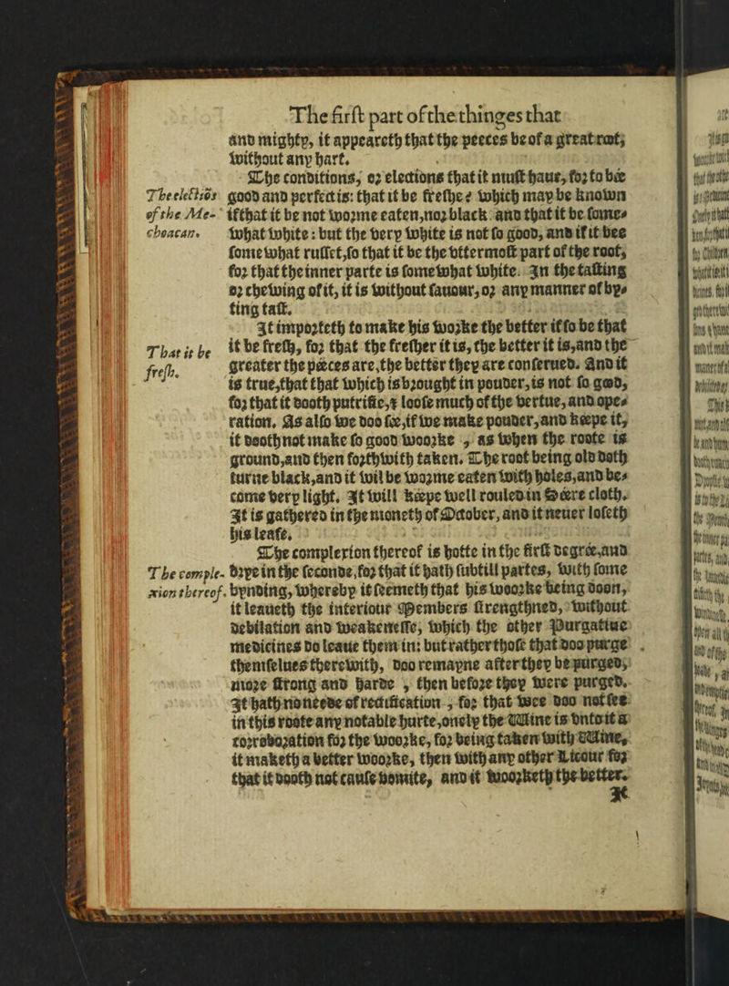 — xr i NSS The firſt part of the thinges that and mighty, it appeareth that the peeces beofa great rat, without any hart. a The conditions, oz elections that it muſt haue, ſoʒ to bee choacan. what white: but the very white is not fo good, and ik it bee ſome what ruſſet, ſo that it be the vttermoſt part of the root, loꝛ that the inner parte is ſome what white. In the taſting dꝛ chewing ol it, it is without ſauour, oꝛ any manner ol bye At impoꝛteth to make his woꝛke the better it ſo be that greater the paces are, the better they are conſerued. And it is true, that that which is bꝛought in pouder, is not fo god, loz that it sooth putrific,¢ loofe much of the vertue, and ope⸗ ration. As alſo we doo ſe, i we make pouder, and kepe it, it doothnot make fo good woozke , as when the roote is ground, and then foꝛthwith taken. The root being old dath turne black, and it wil be wozme eaten with holes, and bes come verp light. It will kerpe well rouled in Sere cloth. It is gathered in the moneth ol Ocober, and it neuer lofeth his leafe, 5 jae! Che complexion thereof is hotte in the firſt degree. and debilation and weakeneſſe, which the other Purgatiue moꝛe ſtrong and Harte , then before they were purged. toꝛrobozation fo2 the wooꝛke, fo2 being taken with Tine, it maketh a better wooꝛke, then with any other Licour fez that it dooth not cauſe vomite, and it woozketh W | L un ta tna igs bein yelp that beta Wine, fal fons ayant edit mah mane off Thist Wand ara dae Doty I ths Dean Bete a ale, i 1 tt he inv,
