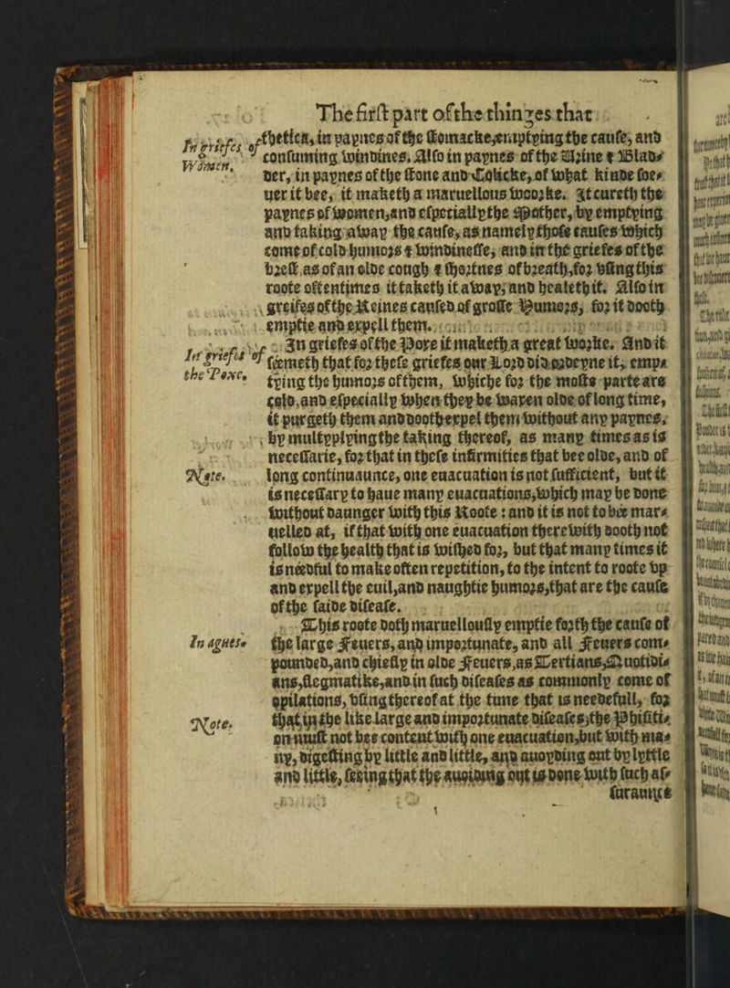 8 r e “x NW Sip =~ * 3 VAS ee Paw va \ The firft part ofthe thinges that Huch. the Pex Notes conſuming windines. Alſo in papnes of the UAꝛine x Blad⸗ der, in paynes of the fone and Calicke, ol what kinde foes uer it bee, it maketh a maruellous wooꝛke. It cureth the papnes of omen, and eſpetiallythe Mather, by emptying and taking away the cauſe, asnamely thote tauſes which come ot cold humoꝛs t windineſſe, and in the grieles ol the bꝛell as of an elde cough 2 ſhoꝛtnes ol bꝛeath, loꝛ bling this roote offentimes it taketh it away; und heatethit. Alſo in emptie and expell them. In griefesofthe Pore it maketh a great wolle. And it meth that for theſe grie fes our I oꝛd did gadeyne it, emp⸗ tying the humoꝛs okthem, Whiche for the moſts parte ars cold, and eſpecially when they be waren olde of long time, it pur geth them and dootherpel them without any papnes. neceſſarie, foꝛ that in theſe infirmities that bee olde, and ol long continuaunce, one euacuation is not ſutficient, but it is neceſlarꝑ to haue many euacuations, which map be done without daunger with this Noote: and it is not to ber mare uelled at, if that with one euatuation there with sooth not follow the health that is wiſhed fo2, but that many times it isneedful to make often repetition, to the intent to roote vp and expell the euil, and naughtie humoꝛs, that are the caule of the ſaide diſeaſe. This roote doth maruellouſly emptie forth the cauſe of the large Keuers, and impoꝛtunate, and all Feuers com⸗ pounded, and chiefly in olde Feuers, as Tertians, Quotidi⸗ uns, flegmatike, and in ſuch diſeaſes as commonly come of gpilations, bling thereof at the tune that is needekull, foz that in the like large and impoꝛtunate diſeaſes the Phiſiti⸗ on Wut not bes content with one euacuation, but with ma⸗ ny, digeſtin gbr little and little, and auopding aut by lyttle ue Pett ta ati ny the 1 — ba fe thaw Hen un patedany Us bbe Hy, , stan