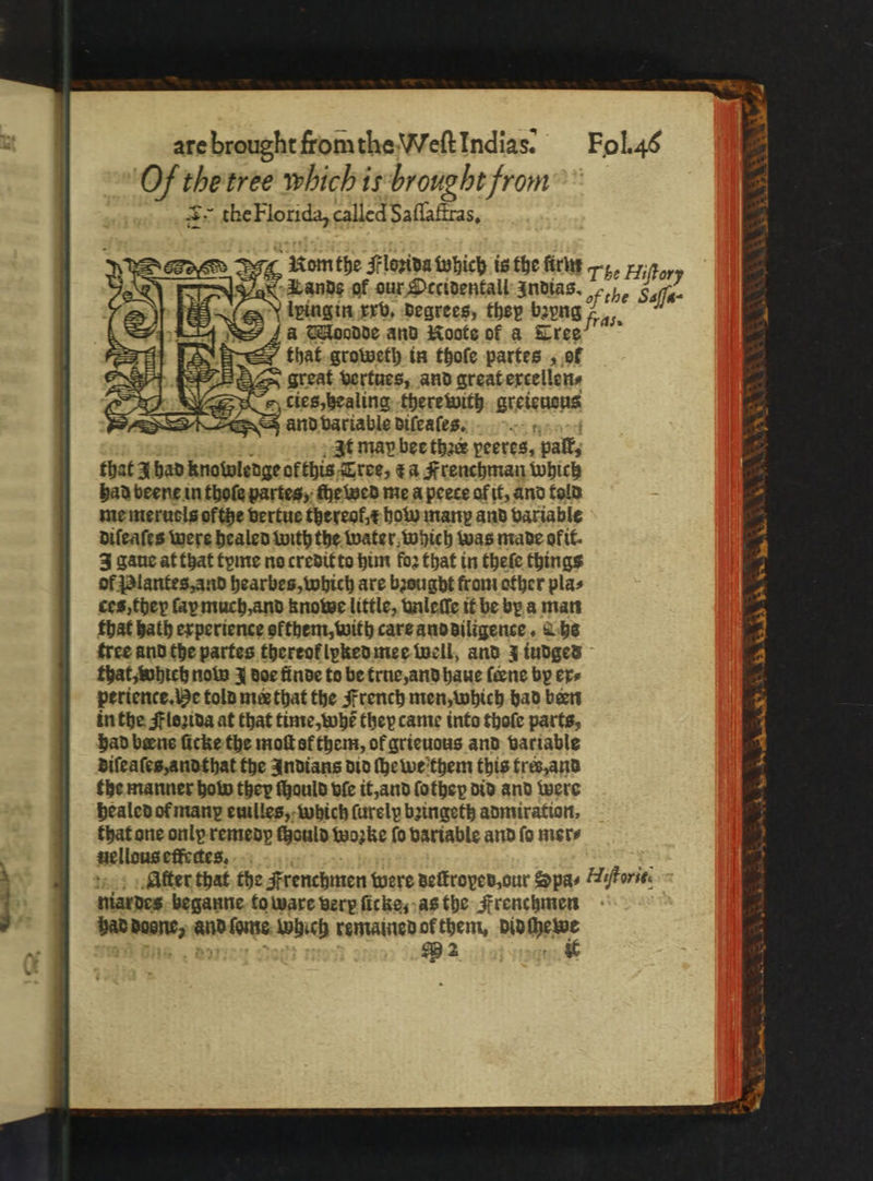 Nom the Florida which is the firm ande of our Occidentall Indias. Fol. 46 T be Hiſtory of the Saffa- 4a Moodde and Koote of a Tree that groweth in thoſe partes, of great vertues, and great excellen⸗ J cies, healing therewith. greieuous and variable diſeaſes. nnn 8 At may bee thae peeres, paſt, that A had knowledge ofthis Tree, t a Frenchman which had beene in thole partes, ſhe wed me a peece of it, and told me meruols ofthe vertue thereof, t how many and variable difeafes were healed with the water which was made okit⸗ J gaue at that tyme no credit to him fo2 that in theſe things of Plantes, and hearbes, which are bꝛought from other plas ces, they fap much, and knowe little, vnleſſe it be by a man that bath experience ofthem, with care and diligence. 2.58 tree and the partes thereot᷑ lyked mee well, and J indged that, which now J doe finde to be true, and haue feene by ex⸗ perience. He told nie that the French men, which had been in the Floꝛida at that time, whẽ they came into thoſe parts, had bene ſicke the moſt ol them, of grieuous and variable diſeaſes, andthat the Indians did ſhewe them this tres, and the manner how they ſhould vſe it, and ſothey did and were healed or manꝑ ewilles, which ſurely bꝛingeth admiration, nellous effectes. Atter that the Frenchmen were deſtroyed, our Spas niardes beganne to ware verp ſicke, as the Frenchmen had doene, and ſame Which remained ok them, did her ie Rote S 9 2 : Hiſtorit. See. n