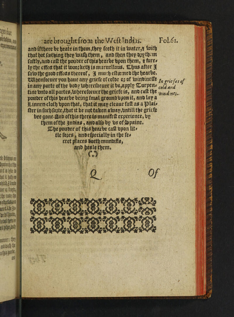 are brought{roar the Weft Indias. Fol. C1. and ikthere be beate in them, they ſeeth it in water, x With that hot ſcething they walh them, and then they dꝛythem ſoftly, and caſt the pouder cf this hearbe vpon them, &amp; fures ly the effect that if wooꝛketh is maruellous. Thus after 3 ſaw the good effeas thereof, J much eſteemed the hearbe. M henſoeuer you haue any griefe ok colde oz of windinelle „ grie fes of in anp parte ofthe body whereſoeuer it be, apply Turpen⸗ / ud tine vnto all partes, whereſoeuer the griele is, and caſt the % nes. pouder of this hearbe being (mal ground vpon it, and lay a innen cloth vpon that, that it may cleaue fal as a Plats ffer in ſuch ſoꝛte, that it be not taken away, vntill the grie fe bee gone. And ofthis there is manifel experience, by them okthe Indias, and alſo by vs of Spaine. The pouder of this hearbe caſt vpon lit⸗ fle forces, and eſpeciallp in the ſe⸗ cret places daeth mundiſie, b and heale them. d n wv | opane thst the a cy U6 Ihe (0 hat it ath ne 4 : Of pti J knot er in {tuples che conte; the a 5 aba! io), c 2 : ) went bee 11 2 ‘ORO ; Ve tees Wyo ilfpeakt, pn tee rately ete tS a rc utero) = ; ar Chen and wah te a this karte, an N enen. yw