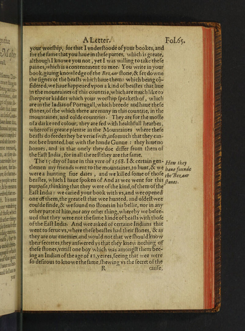 ALetter. Fol. 65. your worfhip, for that I ynderftoode of your bookes, and for the famethat you haue in theſe partes, which is greate, although I knowe you not, yet I was willing to take thefe paines,whichis acontentment to mee. You write in your 1 famous Doe Dewe thine to 0 8 ag not at ofelion, doe of ou 4% are in the Indias of Portugall, which breede and haue theſe laue tones, of the which there are many in this countrie, in the intl Coun. mountaines, and colde countries. They are for the moſte au done ty, ofa darkered colour, they are fed with healthfull hearbes, tioned lojou hereofis greate plentie in the Mountaines where theſe aue compiled beaſts do feede:they be verie ſwift, inſomuch that they can- ndoltieve not bee hunted, but with the hande Gunne: they haue no : enc retutd, hornes, and in that onely they doe differ from them of A n, ter. the Eaſt India, for in all the re ſtthey are the fame. 4 wueotdet to, The 15. day of Iune in this yere of 1568. &amp; certain gen · ox: hey 5 chert, forbe tlemen my friends went to the mountaines, to hunt, &amp; we 5 founde 4 ey bela. Were a hunting fiue daies, and we killed ſome of thoſe % Rex gay a speopewers Mi) beaſtes, which I haue ſpoken of And as wee went for this e495, 1 hy mene . apanneg aoe they were ofthe kind, of them of the’ 1 edied that nt- aftIndia: wecaried your book with vs, and wee opened yt! , Ene E one of them, the greateſt that wee hunted, and oldeft wee 3 one wanting coulde finde, &amp; We found no ſtones in his bellie, nor in any 4 tri otherparte of him, nor any other thing, whereby we belee- 7 Rothertlis uad that they were not the ſame kinde of bealts with thofe 3 forbecauetht of the Eaſt India. And wee asked of certaine Indians that 4. ng cu went to feruevs,where theſe beaſtes had their ftones, &amp; as ald, be they are our enemies and would not that we fhould know seit their ſecretes they anſwered ys that they knew nothing of thefe ſtones, vntill one boy which was amongſt them bee- ing an Indian of the age of 12. yeares, ſeeing that wee were fo defirous to knowe the ſame, fhewing vs the ſecret of the caule, aol which 4 the oo aye no let and (o [amit ys