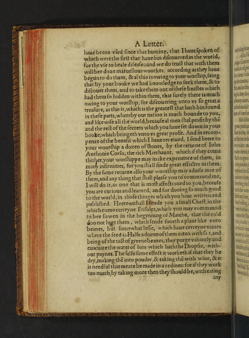 haue beene vied fince that hunting, that I haue fpoken of in thefe parts, whereby our nation is much boundeto you, and like wiſe all the world, becauſe al men fhal profit by the and the reft of the fecrets which you haue ſet down in your booke,which bringeth vnto vs great profit. And in recom- pence ofthe benefit which I haue receiued, I fend heere to your woorfhip a dozen of ſtones, by thereturneof Iohn ‘Anthonie Corfo, the rich Marchaunt, which if they come pio wine worſhippe may make experience of them, in many infirmities, for you thall finde great effectes in them. By the ſame returne alſo your woorfhip may aduiſe mee of hem, and any thing that fhall pleaſe you to commaund me, Iwill do it, as one that is moſt affectioned to you, becauſe you are curious and learned, and for dooing ſo much good to the world, in thoſe thinges which you baue written and publifhed. Heerewithall H ſende you a ſmall Cheſt, in the which come certeyne Friſoles, which you may commaund to bee ſowen in the begynning of Marche, that che cold Joo not hurt them, which ſende foortha plant like vnto beanes, but ſomewhat leſſe, which haus certeyne vaines where the feed is. Halfe adozenofthem eaten with fa t, and being of the taſt of greenebeanes, they purge valiantly and euacuate the water of him which haththe Dropfie, with- out paynes. The felfefame effect it work eth if that they be dry, making thé into pouder. &amp; taking thẽ with wine, &amp; it is needful that meate be made in a redines: for if they work too much, by taking more then they fhould be, wich eating any Lap fe ay lg 100 H rye of hear Voller oreat pol bunthz th Hin Spaine sith Hin pouder, a0 rade cleane, BELO ROW B thisnouder vppontie b euer them seething the] wt the wat hahany foe, deln ö nea pon the Me Me p ouder t loneale mo mom tothe rn WC IS of]