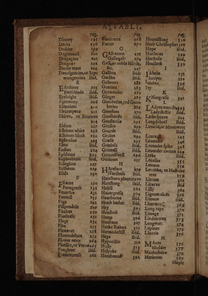 — Dittany 195 Docks 196 Dodder 199 Dogtennell 200 Dragagant 201 Dragon: 201 Ducks meat 204 Dwarfgentian, ox Sope wortgentian ibid. EArchnut 205 Earthbinde ibid. Eyebright ibid. Egremony 206 Elaterium 210 Elecampana 211 Eldren, or Bourtree 2414 Eldern 217 Ellebore white 218 Ellebore black 220 Eglantine 223 Elme ibid. Endiue 224 Epithime 225 Euphorbium ibid. Eringium 227 Eriſimon 229 Efula 230 F Ferne 230 ™ Fenegreck 231 Feuerfue 223 Fennel] 235 Figs 243 Filipendula 249 Ficches 250 Fiueleafe 251 Flags 254 Flax 255 Flea wort 258 Flowerdeluce. 259 Floweramor 264 Foxgloue ibid. Frankincenſe 266 1 „. Fumiterre 168 Furres 270 G . Gb anum 271 Galingale 274 Gall, or noble Mirtle, &amp;c. 247 Gallion ibid: Garlike ibid. Gelouers 281 Gentian 1283 Germander 285 Ginger 287 Goosberies,red Goos- beries 289 Goosfoot 270 Gootherife ibid. Gooſtanſie 291 Goulds 292 Gourds ibid, Grains 294 Graſſe 295 Gratiola ibid. Gromell ibid. GroundſwelIl 296 Guiacum 297 H Arefoot 299 Hartſeaſe ibid. Hartſhorn planten3 oo Hartſtong ibid. Haſell 301 Hauergrafle 304 Hawthorne ibid, Heath hather ibid. Hey 305 Hemlock ibid. Hemp 306 Henbane 307 Herbe Robert 311 Hermodactill ibid, Heps ibid. Hypociſtis 312 Holly 313 Holyoke ibid. Horehound 3322 b Pag. Heundſtong 316 Herb Chriftopher328 Hops ibid. Horſmint 249 Horſtaile ibid. Houfleek ; 330 Afmin 333 Iuniper 334 uiubes 336 Ivy ibid, K RNotgraſſe 341 L Adyes mantles3 43 Ladythiftle ibid. Larks ſpurre 344 Langdebeef ibid. Lunaria, or Moonwort ibid. Laureal 345 Lauender 346 Leeks ibid, Lentiles 355 Lettuce 356 Lentiske, or Maſticke tree 359 Lieium 262 Licoras ibid Lilly 354 Lignumaloés. 368 Limons ibid. Liuerwort, 369 Long rape 370 Louage 371 Linden tree 373 Longwort 374 Lupines 375 Linaria 376 M Madder 377 Maidenhaire 379 Maricrom 380 Maple