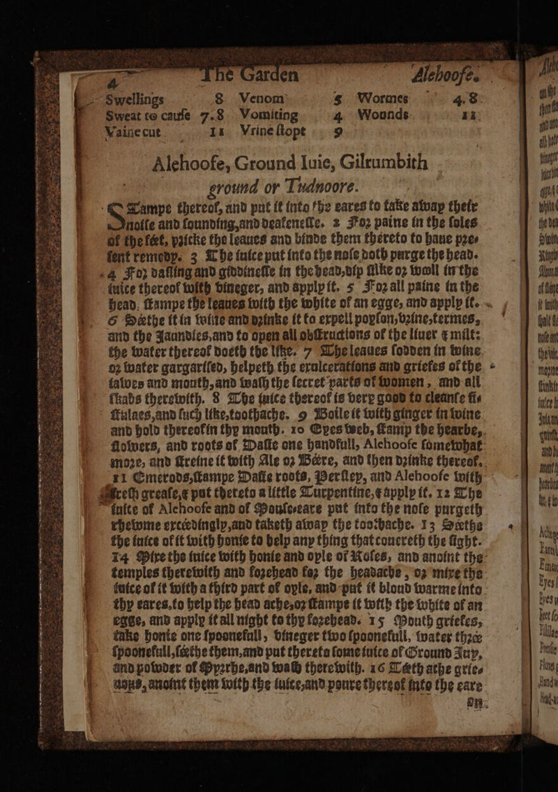 on OEE ns te BEES ee. FeO, Se r Lampe thereof, and put it into fhe eares to take away their notte and ſounding, and deakeneſte. 2 Foz paine in the foles of the feet, pzicke the leaues and binde them thereto to haue pꝛe⸗ ſent remedy. 3 L he inice put into the noſe doth purge the head. 4 Foz dafling and giddineſte in the head, dip Alke o2 wall in the ſuice thereof with bineger, and apply it. 5 Foz all paine in the head ſtampe the leaues with the white of an egge, and apply it. 6 Sethe it in tate and dzinke it ta erpell poylon, bꝛine, termes, and the Jaundles, and to open all obſtructions of the liuer &amp; milt: the water thereol docth the liße. 7 The leaues ſodden in wine o2 water gargariſed, helpeth the exulcerations and griefes ofthe. « lalbes and mouth, and waſh the ſecret parts ol women, and all ſkabs therewith. 8 The iuice thereof is bery good to cleanſe fis ulaes, and ſuch like, tbothache. 9 Boile it with ginger in wine and hold thereofin thy mouth. 10 Enes web, Lamp the hearbe, flowers, and roots of Daſte one handfull, Alehoofe ſomeohat more, and ſtreine it with Ale oz Were, and then dzinne thereof. 11 Emerods, ſtampe Date roots, Perſley, and Alehoofe with rrecp greaſe fe put theteto a little Turpentine, t apply it. 12 The | tutte of Alehoofe and of Mouſe⸗eare put into the noſe purgeth rhelome exctedinglp, and taketh awap the toothache. 13 Sethe the iuice of it with honſe to help any thing that conereth the fight. 14 Mire the tuice with honie and ople of Roles, and anoint the temples therewith and fozehead for the headache, oz mire the (tice of it with a third part of ople, and put it blond warme into thy ear esto help the head ache, oꝛ ſtampe it wilh the white of an egge, and apply it all night to thy fozehead. 15 Pouth griekes, 1 take bonte one ſpoonefull, vineger two ſpoonefull, water thae 1 ſpoonekull, ſcæthe them, and put therets lome iuice of Ground Jup, ke and powder of Ppꝛrhe, and wach therewith. 16 Teth ache grte. ‘us, nos, anolnt them with the lulce, and poure thereol into the eare | ind oe on Ta On * hn J Ae SRR Sn PERRET se emircctmmedertta A et ate ss ein, !!... ee es Nd GRRE *