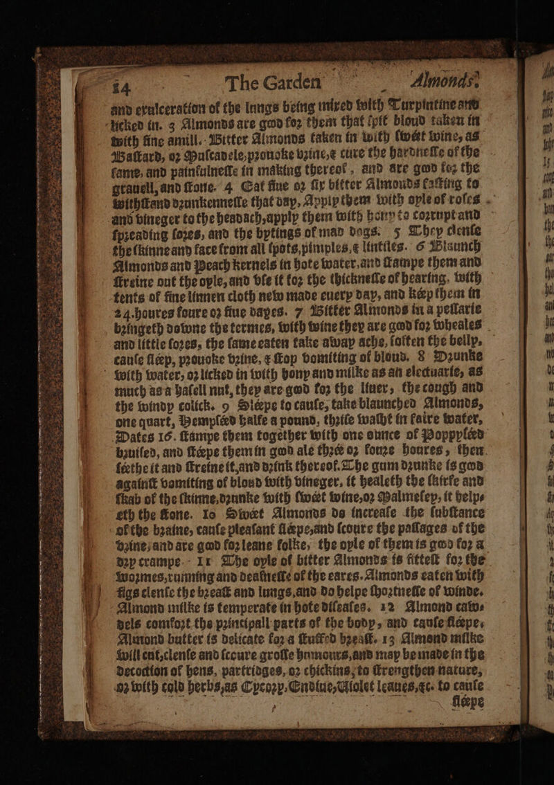 5 „rr rw. * 2 7 0 5 D 1 ARH. phe ae 5 4 — i c ear 2 . r . K and exulceration of the lungs being mixed with Turpintine and with fing amill. Bitter Almonds taken in with (wet wine, as Baſtard, 02 Muſcadele,pꝛouoke bine, &amp; cure the har dneſke of the fame and painfulnette in making thereat, and ste gad foe the grauell, and foe. 4 Cat fine o2 ſix bitter Almonds faking to ſpꝛeading foxes, and the bytings of mad dogs. 5 They clenle the lkinne and face from all pots, pimples, lintiles. 6 launch Almonds and peach kernels in Hote water, and ſtampe them and reine out the ople, and ble it koꝛ the thickneſte of hearing. with 24. houres foure oz fiue dapes. 7 Bitker Almonds in a pellarie and little ſoꝛes, the ſame eaten take awap ache, ſoften the belly. cauſe fleep, pꝛouoke bathe. æ ſtop vomiting of blond. 8 Dunks much asa bafell nut, they are god fo2 the liner, the cough and the windy colick. 9 Slespe to caule, take blaunched Almonds, one quart, Hempſesd balfe a pound, thetic waſht in faire water, Dates 16. ſtampe them together with one ounce of Poppplerd bzuiſed, and ſteepe them in god ale thꝛer oz fouze houres, then ſtethe it and ſtreine it and dꝛink thereof. The gun dzunke is god againſt vomiting of bloud with bineger, it healeth the (atrfe and ſkab of the ſkinne dꝛunke with wert wine, oꝛ Malmelep, it help⸗ eth the Gone. Io Sivet Almonds ds increale the ſubſtance ol the bꝛaine, cauſe pleafant ſlpe, and ſcoure the paſlages of the vꝛine and are god fozleane folke, the ople of them is god fo2 a Dep crampe Ix The ople of bitter Almonds is fitteſt ſoꝛ the woꝛmes, running and dealnelle of the cares. Almonds eaten with Figs clenſe the bꝛeaſt and lungs and do helpe ſhoꝛtnelle ol winde. Almond milke is temperate in hote diſeaſes. 12 Almond cate dels comkoꝛt the pꝛintipall parts of the bodp, and tauſe flepe. Almond butter is delicate koꝛ à ſtuffed hzeaſt. 13 Almond milke will ent, clenſe and ſceure groſte humdurs, and map be made in the decodion of hens, partridges, oꝛ chicking to ſtrengthen nature, Aleepe
