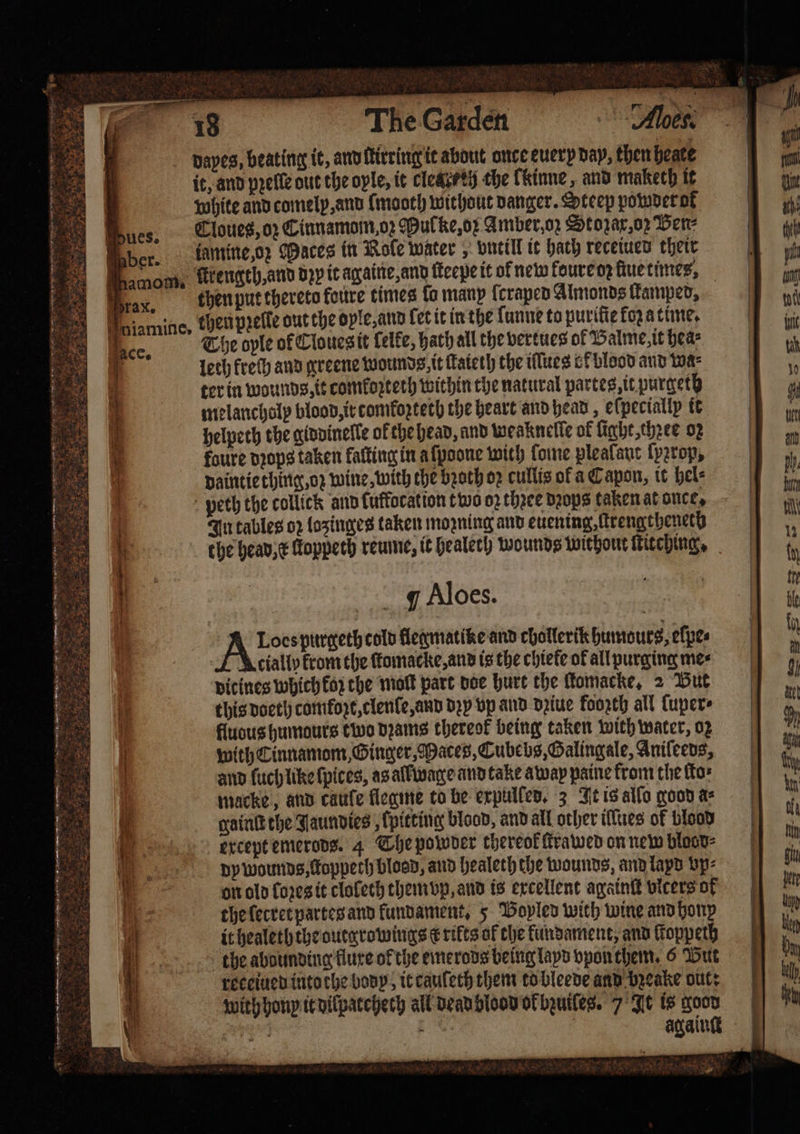 yom aie fee, . x 2277 y IE INIT TT 2 5 . „5 3 555 3 ne rise 2 5 25 te Pues. a ber. 1 amom. Prax. J ace. 9 $ i The Garden floes. dayes, beating it, and ſtirring it about once euery day, then heate it, and pꝛeſle out the oyle, it cles eh the fkinne, and maketh it white and comelp, and {maoth without Danger. Steep powder ok Cloues, oz Cinnamom oz Mul ke, o: Amber, oz Stozax, oz Ben⸗ iamine, oz Maces in Role water, ontill it hath receiuen their ſtrength, and dꝛy it ag aine, and ſteepe it of new loure oꝛ fue times, then put thereto faure times fo many ſcraped Almonds ſkamped, The ople of Cloues it ſelke, hath all the vertues of Balme, it hea⸗ lech krech and greene wounds, it fateh the iſſues ot blood and wa⸗ ter in wounds, it comkozteth within the natural partes, it purgeth melancholp blood, ir comkoꝛzteth the heart and head, eſpeciallp it helpeth the giddinelle of the head, and weaknelſe of light, chꝛee 02 foure dꝛops taken kaſting in a ſpoone with lome plealant {p2rop, daintie thing, oz wine, with the bꝛoth oz cullis of a Capon, it hel⸗ peth the collick and luffotation t wo oꝛ thꝛee dꝛops taken at once, In tables o2 lozinges taken mozning and evening, ſtrengtheneth the head, x lloppeth reume, it healeth wounds without ſtitching. q Aloes. A Loes purgeth cold flegmatike and chotlerik humours, efpes cially krom the ſtomacke, and is the chtete of all purging mes vicines which koz the moſt part doe hurt the ſtomacke. 2 But this doeth comkozt, clenle, and dꝛy vp and dꝛiue foorth all ſuper⸗ fludus humours two dꝛams thereof being taken with water, oz with Cinnamom, Ginger⸗Maces, Cubebs, Galingale, Aniſeeds, and luch like ſpices, as all wage and take away paine from the ſto⸗ macke, and caufe llegme to be expulled. 3 It is allo good a⸗ gainſt the Jaundies, {pitting blood, and all other ilſues of blood except emerods. 4 The powder thereof ſtrawed on new blaod⸗ dy wounds, Koppech bloed, and healeth the wounds, and laps vp⸗ on old lozes it cloleth them vp, and is excellent againſt vicers of the ſetret partes and funvament, 5 Vopled with wine and hop it healeththe outgrowings € rifts of che kundament, and ſtoppeth the abounding luxe of the emerods being layd vpon them. 6 But receiued into che body, it cauleth them to bleede and bꝛeake out: with honp it dilpatchech all dead blood of bzuiſes. 7 It is good is ; | againg Mra Aas ner