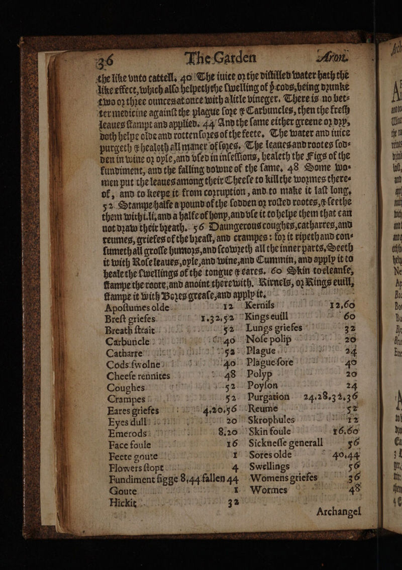 “Gey 8 The Garden 22 Jeaues ſtampt and applied. 44 And the ſame either greene oz dꝛy, Doth helpe olde and rotten lozes ol the fete. The water and tuice purgeth k healeth ell maner of (ayes. The leaues and rootes lod⸗ den in wine oz oyle, and vled in inlellions, healeth the Figs of the kundiment, and the falling downe of the lame. 48 Some toe men put che leaues among their Cheele to killthe woꝛmes there⸗ ok, and to keepe it from coꝛruption, and to make it laſt long. 52. Starnpe halfe a pound ok the lodden oz rated rootes, ſeethe them withi. li and a halke of hony, and vle it to helpe them that can not dꝛaw their bꝛeath. 56 Daungerous coughes,catharres, and reumes, griekes ok the bzealt, and crampes: fog it ripeth and con⸗ ſumethall grolle humoꝛs, and ſcowzeth all the inner parts. Seeth Apoſtumes olde Kernils 12.60 Breſt griefes 1.32.52 Kings euill 9968 Breath ſtrait 52 Lungs griefes 32 Carbuncle 40 Noſe poli- 28 Catharre Mate en Plague 8 2710 24 Cods ſwolne 40 Plague ſore 40 Cheeſe rennites 48 Polyp 20 Coughes e Jol ez Poyſon 24 Crampes 52 Purgation 24. 28.3 2.36 Eares griefes 4.20.56 Reume | 52 Eyes dul!!(ꝛ — 20 Skrophules i Emerods 8.20 Skin foule 16.60 Face foule 16 Sickneſſe generall 56 Feete goute 1 Sores olde 40.44 Flowers ſtopt 4 Swellings ° 56 Fundiment figge 8,44 fallen 44 Womens griefes 36 Goure. Bo 1 Wormes * 48 Hickie . 2 Ba Nei e a . - Archangel ieee