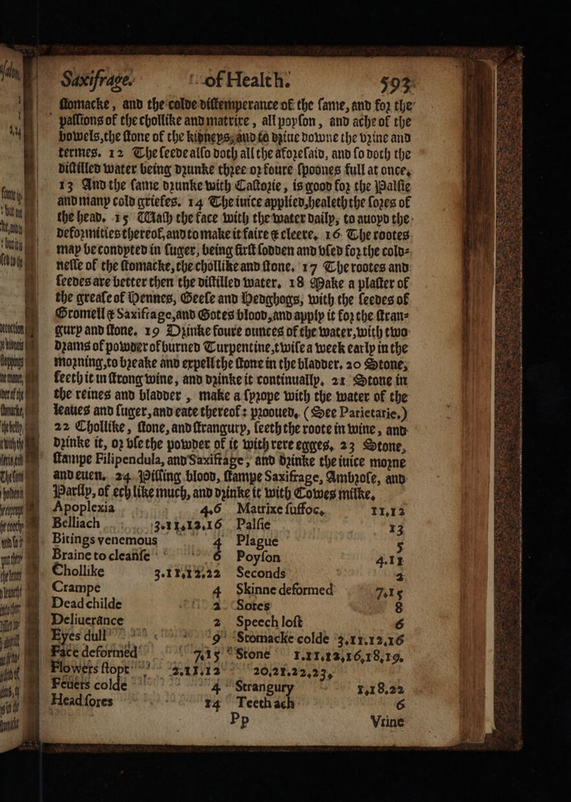 10 N | au ; it . on | ‘ute (ow | hebe dhe frech ee ein, L ö an dee anti nite Au ane 4 n | Ho Lae 170 1650 ae in | Saxifrace: of Health. bowels, the fone of the kidneys and to dziue downe the dine and termes. 12 The ſeede allo doch all the aforelain, and fo doch the diſtilled water being dꝛunke thꝛee oz koure ſpoones full at once, 13 And the ſame dꝛunke with Caſtozie, is good for the Palſie and manp cold griekes. 14 The iuice applied, healeththe {oes of the head. 15 Mach che face with the water daily, to auoyd the defoꝛmities thereol, and to make it faire ck cleere. 16 The rootes map be condyted in luger, being fir lodden and bled koꝛ the cold⸗ nelle of the ſtomacke, the chollike and ſtone. 17 The rootes and ſeedes are better then the diſlilled water. 18 Make a plaſter of the greale ol Dennes, Geele and Hedghogs, with the {eeves of Gromell ¢ Saxiftage, and Gotes blood, and apply it for the ſtran⸗ gurp and ſtone. 19 Dzinke foure ounces of the water, with two dꝛams ok powder ol burned Turpentine, twile a week early in the moꝛning, to bꝛeake and expell the fone in the bladder. 20 Stone, leeth it in ſtrong wine, and dꝛinke it continually. 21 Stone in the reines and bladder, make a ſpꝛope with the water of the leaues and ſuger, and eate thereok: pꝛooued. (Dee Parietatie.) 22 Chollike, ſtone, and ſtrangurp, leeth the roote in wine, and dꝛinke it, oꝛ vle the powder of it with rere egges. 23 Stone ltampe Filipendula, and Saxiftage, and dꝛinke the iuice mozne and euen. 24 Pilling blood, ſtampe Saxifrage, Ambzoſe, and Harllp, of ech like much, and dzinke it with Cowes milke. 6 Apoplexia Matrixe ſuffoc. 11.12 Belliach 3.11.13.16 Palſie 13 Bitingsyenemous 4 Plague 5 Braine to cleanſe 3 Poyſon 4.11 Chollike 3.1 1.12.22 Seconds 2 Crampe 4 Skinne deformed: 7.1 5 Dead childe 4 Sotes 8 Deliuerance 2 Speech loſt 6 Eyes dul! 9 Stomacke colde 3.11.1 2.16 Face deformed 7.15 stone 1.11.12, 16,18. 19. Flowers ſtopt 2.11.12 2021.22.23. Feuers code 4 Strangur⸗j 1.18.22 Head ſores sa 14 Teeth ach 6