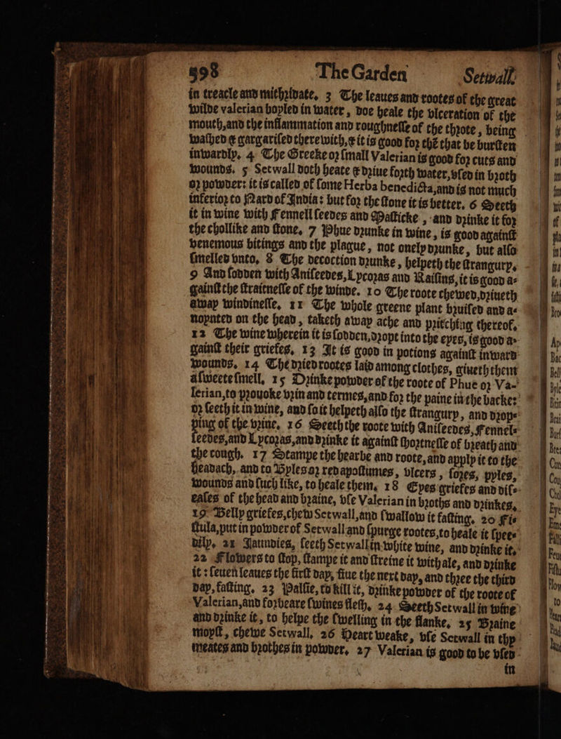 — Sak Fahne — — — er * — — 398 The Garden Setwall in treacle and mithꝛidate. 3 The leaues and rootes ok the great wilde valerian boyled in water, doe heale the vlceration of the mouch, and the inflammation and roughnelle of the thꝛote, being waſhed ¢ gargariſedtherewith, e it is good for che that be burſten inwardly. 4 The Greeke op {mall Valerian is good fo? cuts and wounds. 5 Setwall doth heate e deine forth water, ved in bzoth 02 poder: it is called of ſome Herba benedicta, and is not much inkerioꝛ to Nard ot Andia: but for the fone it is better. 6 Seeth it in wine with Fennell leedes and Maſticke, and dꝛinke it for the chollike and fone, 7 Phue dzunke in wine, is good agalnſt venemous bitings and the plague, not onely drunke, but allo ſmelled vnto. 8 The decoction dꝛunke, helpeth the ſtrangury. 9 And ſodden wich Anileedes, Lycoꝛas aud Railing it is good as gaint che ſtraitneſſe of the winde. 10 The roote chewed, dꝛiueth away windinelle, 11 The whole greene plant bzuiſed and a⸗ napnten on che head, taketh away ache and ppitchtng thereok, 12 The wine wherein it is ſodden, dꝛopt into the eyes, is good a&gt; gaint their griekes. 13 It is good in potions againſt inward wounds. 14 The died rotes laid among clothes, giueth them alweete ſmell. 15 Dꝛinke powder of the rote of Phue oꝝ Va- letian, to pꝛouoke vꝛin and termes, and foꝛ the paine in the backe: bz ſeeth it in wine, and ſo it helpeth allo the ſtrangury, and dꝛop⸗ ing ok the wine. 16 Speech the roote with Anileedes, Fennel⸗ eedes, and Lpcozas, and dꝛinke it againſt ſhoztneſſe of bꝛeath and the cough. 17 Stampe the hearbe and roote, and apply ic to che headach, and to Pyles oz red apoſtumes, vlcers, ſozes, pples, wounds and luch like, to heale them, 18 Epes griekes and dil⸗ eales of the head and bꝛaine, vle Valerian in bꝛoths and deinkes, 19 Bellp griefes,chetw Scewall,and fwalloww it kaſting. 20 fis ula, put in powder of Set wall and (purge rootes ta heale it ſpee⸗ bily, 21 Jaundies, ſeeth Set wall in white wine, and dzinke it. 22 Flowers ta Cop, Lampe it and ſtreine it withale, and dzinke it: ſeuen leaues the kirſt bap, fine the nert day, and three the third bap, fatting, 23 Palſie, co kill it, dꝛinke powder of the roote o Valerian, and forbeare (wines tle, 24 Seeth Set wall in wine and dzinke it, to helpe the Cwelling in the Hanke, 25 Bꝛaine mop, chewe Setwall. 26 Peart weake, ble Sctwall in thy: meates and bꝛothes in powder. 27 Valerian is good to be bien | in