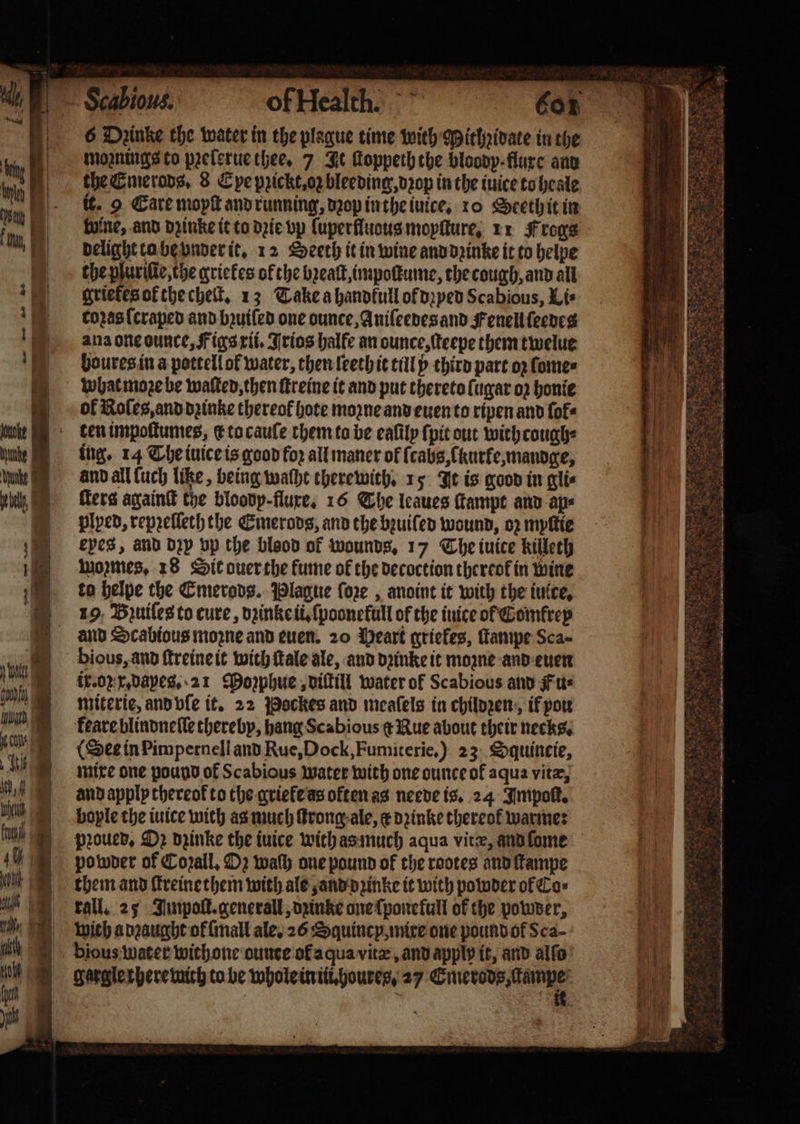 eg ooh int i CON of Health. 6 Dzinke the water in the plague time with Mithꝛidate in the moꝛnings to pꝛelerue thee. 7 It ſtoppeth the bloody fluxe and the Emerods. 8 Epe pꝛickt, oz bleeding, dꝛop in the iuice to heale it. 9 Care mopſt and running, dꝛop in the iuice. 10 Seeth it in ine, and dꝛinke it to dzie vp ſuperfluous moyſture, 11 Frogs delight ta be vnder it. 12 Seeth it in wine and dꝛinke it to helpe the plurilie, the griekes of che bꝛeaſt, impoſkume, the cough, and all griekes ok the cheſt. 13 Tanke a handkull of dꝛyed Scabious, Li⸗ coꝛas ſcraped and bꝛuiſed one ounce, Aniſeedes and Fenell ſeedes ana one ounce, Figs xii. Trios halfe an ounce, ſteepe them twelue boures in a pottell of water, then leeth it till y third part oꝛ ſome⸗ ol Roles, and dꝛinke thereof hote moꝛne and euen to ripen and ſok⸗ ten impoſtumes, e to cauſe them to be ealily {pit out withcough⸗ ing. 14 The iuice is good for all maner of ſcabs, (kurfe, mandge, ers againſt the bloody - flure. 16 The leaues ſtampt and ap⸗ plped, reprefleth the Emerods, and the bꝛuiſed wound, oz myſtie eyes, and dy vp the bleod of wounds. 17 The iuice killeth moꝛmes. 18 Sit auer the fume of the decoction thereof in wine to helpe the Emerods. Plague ſoꝛe, anoint it with the iulte, 19, Bꝛuiſes to cure, dꝛinke ii.ſpoonetull of the nice ol Gomfrep bious, and ſtreine it with tale ale, and dꝛinke it mozne and euen ix.oꝛ x. dayes. 21 Moꝛphue, diſtill water of Scabious and Fu⸗ miterie, and vſe it. 22 Pockes and meaſels in childzen, if pou keare blindneſſe thereby, hang Scabious ¢ Rue about their necks. Dee in Pimpernell and Rue, Dock, Fumiterie.) 23 Squincie, mixe one pound of Scabious water with one ounce of aqua vitæ, and apply thereof to the grieke as often as neede is. 24 Impoſt. bople the tice wich as much ſtrong ale, e dꝛinke thereof warme: powder of Coꝛall. D2 waſh one pound of the rootes and ſtampe them and ſtreine them with ale and dꝛinke it with powder of Las tall. 25 Jmpoſt.generall, dꝛinke one ſponefull of the powder, wich a dꝛaught of {mall ale. 26 Squincp, mixe one pound of Sca- bious water withone ounce ol aqua vitæ, and apply it, and alfo gargle rhere wich to be whole in ili. houres, 27 Ehe ee