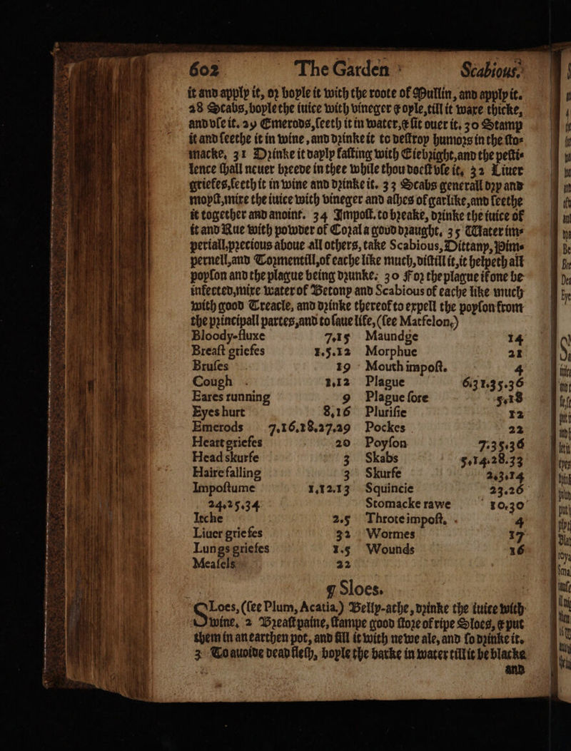 A ĩ— wü K—K—Ü— ge ~ haa 1 — 2 Se i * —— — a PAS — — x — — — it and apply it, oꝛ bople it with the roote of Mullin, and applp it. 28 Stabs, boyle the iuice with vineger ¢ople, till it ware thicke, and vle it. 25 Emerods, ſeeth it in water, x lit ouer it. 30 Stamp it and leethe it in wine, and dꝛinke it to deſtroy humors in the ſto⸗ macke. 31 Dyinke it vaplp laſting with Eiebꝛight, and the pettie lence ſhall neuer bꝛeede in thee while thou doeſt ble it, 32 Liner griekes, teeth it in wine and dꝛinke it. 33 Scabs generall dꝛy and moyſt, mixe the iuice with vineger and alhes of garlike, and leethe it together and anoint. 34 Impoſt. to bꝛeake, dꝛinke the iuice of it and Rue with powder of Coꝛal a goud dꝛaught. 35 Mater im⸗ periall,pꝛecious aboue all others, take Scabious, Dittanp, ims pernell, and Tozmentill, ot cache like much, diſtill it, it hetpeth all popfon and the plague being dꝛunke. 30 Foz the plague ifone be inkected, mixe water ol Betonp and Scabious of eache like much with good Treacle, and dpinke thereok to expell the poyſon front the pꝛincipall partes, and to laue life, (fee Matfelon,) Bloody- fluxe 7.15 Maundge Breaſt gtiefes 1.5. 12 Morphue Bruſes 19 Mouth impoſt. Cough . 1.12 Plague Eares running 9 Plague ſore Eyes hurt 8.16 Pluriſie Emerods 7.16. 18.27.29 Pockes Heart griefes Poyſon 7.35.36 Head skurfe Skabs 5.74.2833 Haire falling 3 Skurfe 2.3.74 Throte impoſt. 4 Lungs griefes 5 Wounds 16 Meaſelss ‘QLoes, (fee Plum, Acatia.) Belly-athe, dꝛinke the tuice with wine. 2 Pzeaſt paine, ſtampe good fto2e of ripe Sloes, Eput them in an earthen pot, and fill it wich ne we ale, and lo dzinke it. 3 To auoide dead fleſh, bople the barke in water till it be blacke _—_ — SS SS SS ee