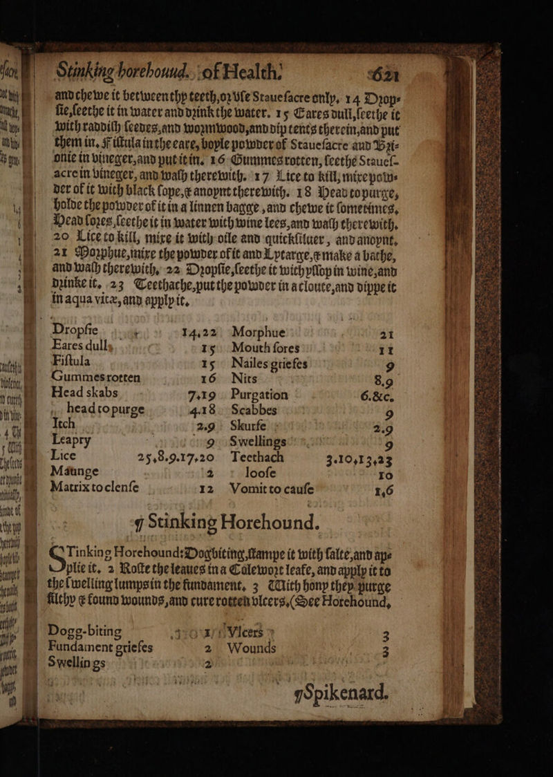 Stinking borebound.. of Health: 62 andchewe it between thy teeth, oz We Staue ſacre only. 14 Dzꝛop⸗ ſie, ſeethe it in water and dꝛink the water. 15 Cares dull, ſeethe te with raddich ſeedes and woꝛmwood, and dip tents therein, and put them in. # iſtula in the eave, boyle powder ol Stauefacre and Wai onie in vineger, and put it in. 16 Gummes rotten, ſeethe Staueſ⸗ acre in bineger, and wath therewith. 17 Lice to kill, mixe pow⸗ der of it wich black lope, k anoynt therewith. 18 Pead topurge, holde the powder of it in a linnen bagge, and chewe it ſometimes. Pead Cores ſeethe it in water with wine les, and walh therewith, 20 Lice to kill, mixe it with oile and quickliluer, and anoynt. 21 Moꝛzphue, mixe the powder ok it and Lytarge, x make a bathe, and wach therewith, 22 Dꝛopſie, ſeethe it with yllop in wine, and dzinke it. 23 Teethache, put the powder in a cloute, and dippe it in aqua vite, any apply it. © Dropfie tid 14.22 Morphue 21 © Lares dull: 15 Mouth fores 11 Fiſtula 15 Nailes gtie fes 9 Gummes rotten 16 Nits 8.9 Head skabs 7.19 Purgation 6. &amp;c. head to purge 4.18 Scabbes 9 Itch 2.9 Skurfe | 2.9 Leapry 4 9 Swellings 9 Lice 25. 8.9.17. 20 Teethach 3.10,13.23 Maunge 2 looſe ro Matrix to clenſe 12 Vomit to cauſe 1.6 7 Stinkin g ar 4. ö GTinking Horehound: Dogbiting, ſtampe it with ſalte, and ape plie it. 2 Rolle the leaues tna Cale woꝛt leafe, and apply it to the lwelling lumps in the funvament, 3 With bony they purge filthy ct found wounds, and cure rotten vlcers. (Dee Hotehound. Dogg · biting eons VIcers 3 Fundament griefes 2 Wounds 3 J Swellin gs l Jspikenard
