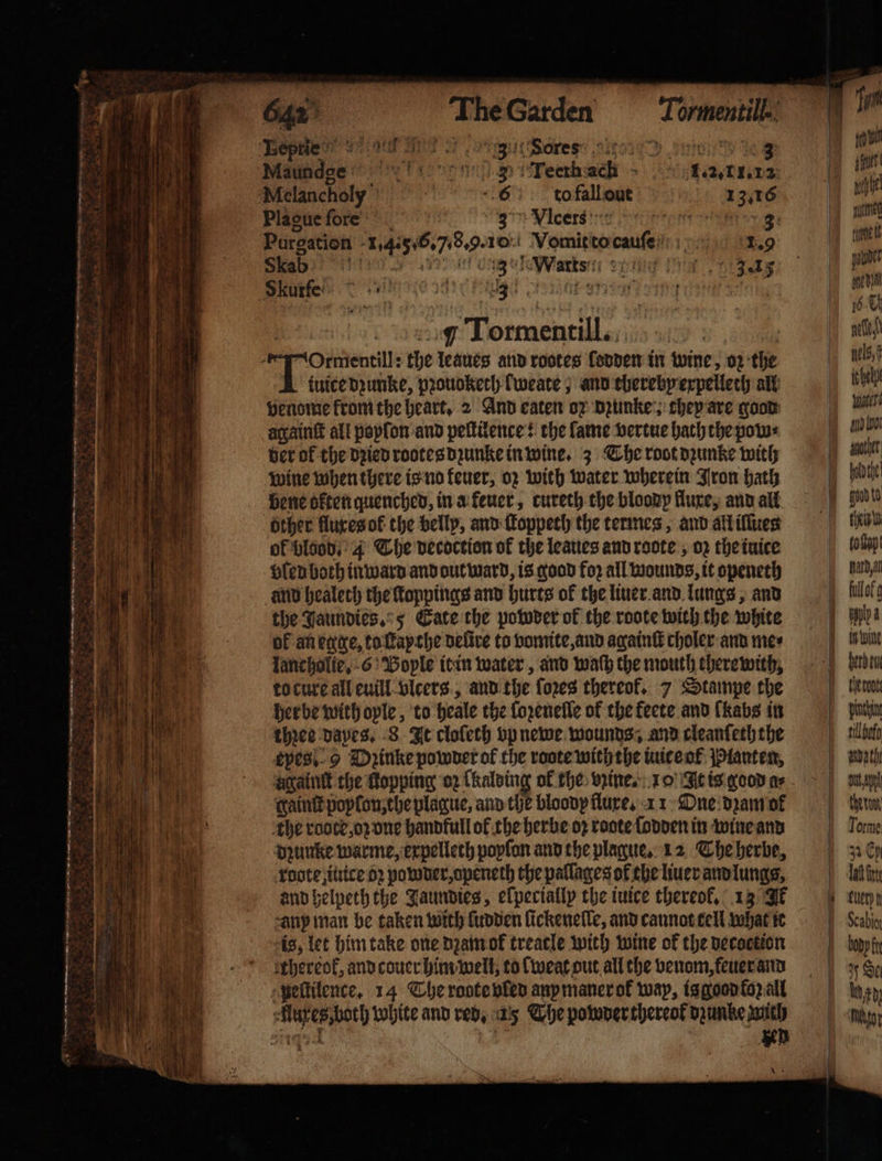 * je 55 ie The Garden —Tormentill. |) ™ [2 | Tropes, S200 . Soresy cise 7D Sate ee 1 an 18 Mausdge 3 Tecthachk . t 10 . Melancholy 6 co fall out 13,16 | ie 12) Plague ſore 3 VIcers fen g win . Purgation 1, 4:55. 7.8.9. 10 Vomit to cauſe 1. ie | wens onan Tit zag pion pa Biarel C leeoh hag? coslthsniat sing wily 10 „ 8 aa ; ( . 1 I i 5 1 % Torment ill.. nit, ray y “Ornientill: the leaues and rootes lodden in wine, oz the l „ tuice dꝛunke, pꝛouoketh lweate, anv thereby expelleth all ibe 2 venome krom the heart. 2 And eaten ox dꝛunke ; chey are good wl ö Aan againſt all popſon and peſtilence: the fame vertue hath the pow⸗ he Ps bh ber of the dꝛied rootes dꝛunke in wine. 3 The root dꝛunke with e 35 Bi wine when there is no keuer, oz with water wherein Fron hath bol E bene often quenched, in a keuer, cureth the bloody flure, and all mn 8 Pith Hi other flucesof the belly, and ſtoppech the termes, and all iſſtes (eh 1 1 of blood. 4 The vecoction of the leaues and roote, oz the iuice boat 5 Pie Olen both inward and outward, is good for all wounds, it openeth hard a, Mae ae anid healeth the ſtoppings and hurts of the liuer and lungs, and lle n the Jaundies. 5 Cate the powder of the rote wich the white lb! g We of an egge, to ſtayche delive to vomite, and againſt choler and mes unt 0 lancholie, 6 Gople it in water, and wath the mouth therewith, | harden oy to cure all euill vlcers, and the ſoꝛes thereof. 7 Stampe the | Herat AI her be with oyle, to heale the loꝛenelle of the keete and (kKabs in Pan abt three dayes. 8 It clofeth vp newe wounds; and cleanfeththe lla at eyes! 9 Dꝛinke powder of che roote with the iuite ol Planten, haath 00 againt the Ropping oz {halving of the wine. 10 It is good a⸗ du thos Kaintepoplon;che plague, and the bloody fluxe. 11 One diam ok | thew e the roote, oz one handfull of the herbe oꝛ roote ſodden in wine and laue e dzunke warme, expelleth popfon and the plague. 12 The herbe, | ey Ri rote, iuice oꝛ powder, openeth the pallages of the liuer and lungs, ct I and helpeth the Jaundies, elpecially the iuice thereof. 13 1 eeleyn 8) a ee anp man be taken with linden lickenelle, and cannot tell what ie Laab N is, let him take one dꝛam ok treacle with wine of the decoctlon any fy Vttthereok, and couer him well, to (weat out all the venom, feuer and 7 He peſtilence. 14 The roote vled any maner ok way, is good fo all ih ed Alaxes both wohite and red, ais The pomderthereol dunke wb Mo AD Nis