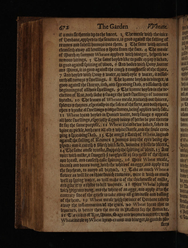 672 nemous bitings. 5 The lame boyled like to paſte oꝛ pap c licked. is good againſt (pitting of blood. 6 And boiled with Hon, butter and Mints, it is good againſt the cough ct roughnelle ok the thꝛote. ueth all tumozs c lwellings. 8 The bꝛanne boyled in vineger, is good again the lkurup, itch, and ſpꝛeading l Kab, e diſſolueth the beginning ok all hote [wellings. 9 The bꝛanne boyled in the de⸗ coction of Nue, doth lake c wage the hard lwellings of womens Heats, ro The leauen of Wheate meale, dꝛaweth out ſhiuers, {plencs c thoꝛnes, eſpeciallpin the ſoles of the fete, and dath ripen, open ¢ bꝛeake al l wellings impoſtumes, being applied with lalt. 11 Wheat bꝛead boplen in Honied water, doth wage € appeale fit for the ſame purpole. 12 Wheat bead ne we baked, ſoked in bine oꝛ pickle, dothcure all old € white lkurke, and the foule cree⸗ ping ¢{preading (Kab. 13 The ampll ¢ Larch of Wheat, is good againtt the kalling of Reumes ce humozs into the eyes being aps piped: and it cureth c filleth with fich, wounds hollow virers, 14 The lame amile dꝛumke, kkappeth the ſpitting of blood, 15 And mixt with milke, it lwageth p raughnelle oz ſozenelle of the rhnote incenle and doues dung, with the white ok an egge, and apply it to the kozehead, to auoyd all headach. 17 Take as much Wheate flower as will lie on three kreuch trownes, mixe it with as much well op ſpꝛing water, as will make it of the thickenelle ok mitke, with Pigeons dung, and the white of an egge, and applp it to the contrary ſide ot᷑ the griele to take away all giddineſſe and dalling ok the head. 19 Wheat meale with the iuice of Henbane taketh awap the inflammation vk the guts. 20 Wheat head that is leauened, is better then the meale in Plaſters fo2 the ſtomacke. Wheatimeale oz Wheat bpead- crums and vineger, is good 7 N ah diothel } in Wate Bela meli ekt ann 5 foment Mpeales puis Ape mnie any (uth mum Fike of | ham! 39 N bond Om 1