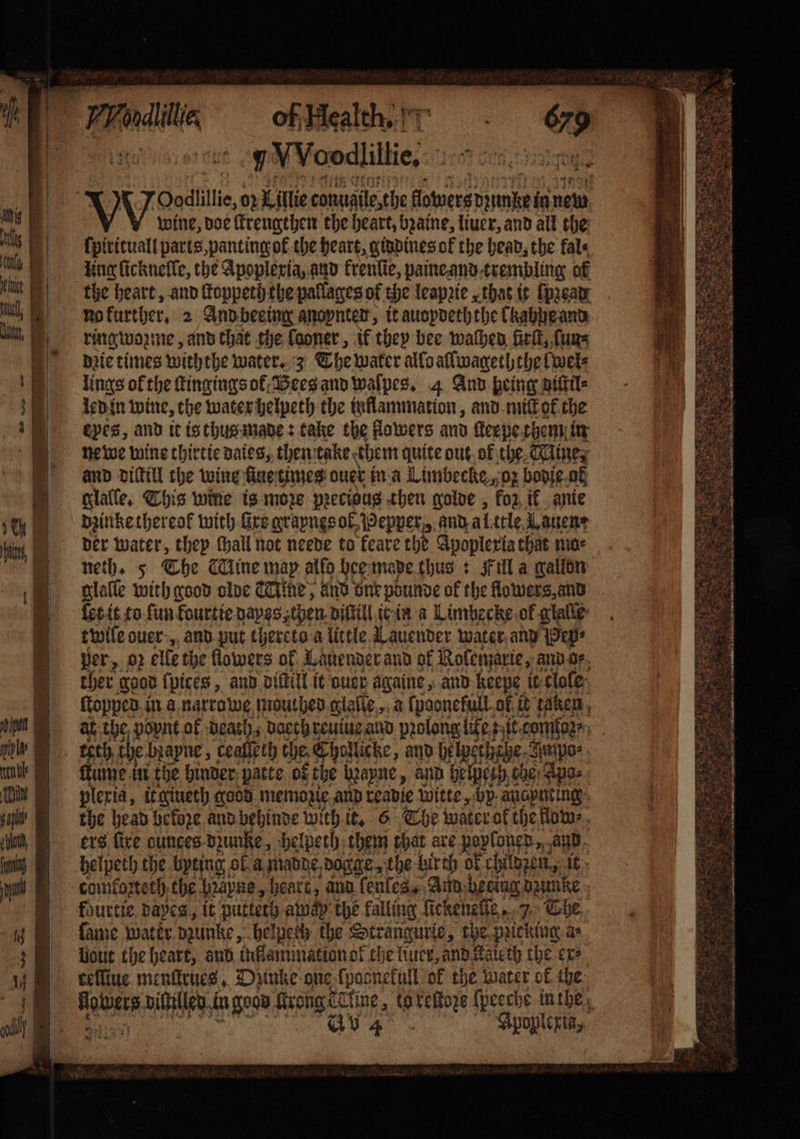 7V¥Voodliltie, 18 VV Oodlillie, oꝛ Lillie conuaile,the flowers A in nem wine, doe ſtrengthen the heart, bꝛaine, liuer, and all the ſpirituall parts, pantingot the heart, giddines of the head, the fale ling ſickneſſe, the Apoplexia, and krenlie, paine and trembling of the heart, and ſtoppeth the pallages of the leapzie, that it ſpꝛead no kurther. 2 And beeing anopnter, it auopdeth the lkabpe and ring wozme, and that the ſaoner, if they bee waſhed firſt, ſun⸗ dꝛie times withthe water. 3 The water allo allwageththe (wets lings of the ſtingings ol Bees and waſpes. 4 And heing diſtil⸗ led in wine, che water helpeth the inflammation , and miſt of the eves, and it is thus made: take the flowers and ſerpe them in newe wine thirtie daies, then take them quite out ok the Mine, and diſtill the wine ſiue times ouer in a Limbecke, oz bodie of glalſe. This wine is more precious then golde, for, ik anie dzinke thereok with Gre grapnes ok Pepper, and al ttle, er der water, they ſhall not neede to feare the Apoplexia that ma neth. 5 The Mine map alfo hee made thus: Fill a gallon glaſſe with good olde Mine, and one pdunde of the flowers, and ſet it to ſun kourtie dayss then diſtill ic in a Limbecke ok glalle twile ouer, and put thereto a little Lauender water and {Pepe her, 02 elle the flowers of. Lanender and of Rolemarie, and o⸗ ther good {pices , and diſtill it ouer againe, and keepe it clole ſtopped in a narrawe mouthed lati 2 à lpoonefull ok it taken, at the poynt ol death, daech reuiue and pꝛolong like ttt. confor? Kunze in the binder patte of the Wayne, and helpesh, che Apo⸗ plexia, it giueth good memozie and readie Witte, ‘bp. anapnting the head before and behinde with it. 6 The water ok the flow⸗ ers fire ounces dꝛunke, helpeth them that are poploned, and helpeth the byting of a manne, dagge, the birth of childzen, it comfozteth the Mabne, heart, and lenles, And beeing dzunke fourtie dayes, it putteth away the falling ſickenelſe, 7 The ſame water dzunke, helpeth the Strangurie, the pricking. ae liout the heart, and inflammation ok che liuer, andifateth the exe celline menſtrues, Duntze one fpasnefull of the water of the aa diltilled in good ftrongét Hine, to e (peeche in the v4 dee