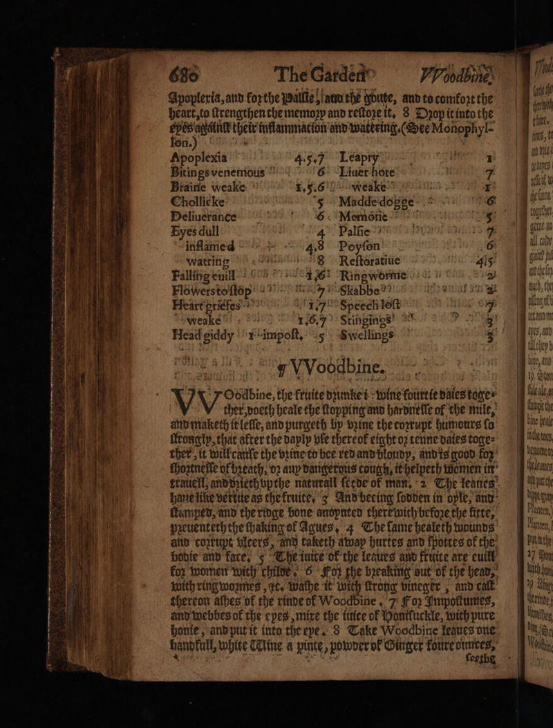 * ee fe cr * — = * . . . e r 680 The Garde VP oodbine: heart, to ſtrengthen the memoꝛy and reſtoze it. 8 Dꝛop it into the e their mflammmation and watering. (See Monophyl- lon. Apoplexia 4.5. Leapry 1 Bitings venemous 6° Liuer hote 7 Braine weake 1. 5. 6 NMeak e 1 Chollie ke 6 5 Madde dogge- 6 Deliuerancſse 6 “Memérie 5 Byes dull 4 Palſie — 9135 inflamed “&gt; 4.8 Poyſon et Watring 8 Reſtoratiue 45 Falling cuil! 1.6 Ripgworne 2 Flowerstoftep' « e Skabbe?? 10 0 9s ee Heart griefes 05 ia 1.7 Speech loſt Tg Ga weake | 1.6.7 Stingings e Head giddy keen 5 Swellings 3 y VVoodbine. V Vos the kruite dumke i wine foittete daies stones ther, doeth heale the ſtopping and hardneſſe of the mult, and maketh it lelſe, and purgeth by opine the cozrupt Humours (a Mtongly, that after the daylp ble there ok eight oz tenne dates toge⸗ ther, it will cattle the vꝛine to bee red and bloudp, and is good ko trauell, and pzierhbpthe naturall ſcede ok man. 2 The Teattes: hanelike verte as thefruite, 3 And beeing ſodden in ople, and amped, and the ridge bone anopnted there with before the firte, pzeuentech the ſhaking ok Agues, 4 The lame bealeth wounds and coꝛtupt vlcers, and taketh away hurtes and ſpottes of the odie and faces 5 The inite ok the legues and krüite are euill koz women with childe, 6 ‘Fo the bzeaking out ok the heap,’ with ring wozmes, ec. walhe it with ſtrong vineger, and calt thereon aſhes of the rinde of Woodbine 7 Foz Impolkumes, and webbes of the eyes, mixe the iuice of Donifuckle, with pure honie, and ptit it into the eye. 8 Take Woodbine legues one handkull, white Cite a pinte, poworr of Ginger foure 1 8 nie. e e bur hae che beg nanu eat les | ih wt he | eg *. Laken. lten,! bath 27 Dow ltt jon U 19 Nag gert td Neithes W ai