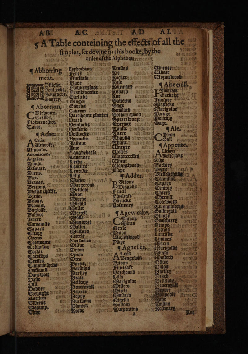 + g 1944 1 Apples, fer do we in this book, h the e . orden the Alphabemssy 7 N 4 q Abhorrin 5 Ruphorbiam Realms Ulneger : | 1 Neun Fenell © te ben meat. Ffueleake Rocket Moꝛmewood 1 Dllignge. Faxe Roſe | Haullecke. lowervelnee Paſemare q Aſte cuil. a Hamers. Frankincenee Rubarbh = sayin neleate” 7 Saurrp, Oarlicke ue % Garliczz 4 Wen Hinger Dafferne Jantper vi a ¢ Abortion,» Sourds Sere ose ; aftieke = — Dieworts, uiacum malach arigoldt 8 Cec lieg. ; Hartſhome planten Sothernwood MDeenge. 4 Fiowerdeliice. Heath Spearewoozt Baur“ e 4 Gare, 10 Tibet 1 Sperage Dage. : Henbane nS Tanſte puoticniocs J Ale. 8 q Aches: A echt omg Tarre 2 Hina: e use N Catia. Hyfrociſtis „ Thapſia n, 1 0 2028 | Glehsote,?'** £m Thune dend Jenas Almonds. &gt; sme Gineger et Peat . $ 4a Amoniacum. Aangpeberle Atolets N 69 pa 4 Angelica. . Swauenoer THatercrefles . . a Gunile, ane Lecks TAtheat 5 Arlmart. Lentiies ae ee Barber va Buens. | mat ; (oer ase 1 oo e 1 oat &gt; ap. . A * elled 8 Beanes. ader 14 PB 8 3 Cala n Bettony. argerom B Dingonz Caparns y eh Bleſſed rote, Weulote a Fenel Centozp sya Briony. Mirrhe „ Sarliche Cherulll Bꝛoome. Mirhis „ Rofemary Colewoꝛts ö Buglaſſt. Millet ö i Corn aes Bultoot Worrell q Agew cake. Sallingale Burre oat Wolle Entoz ie Ginger Pia Camamille gwoꝛt Pints % Gooſeberr g Capars ullin Hettle Wempe, yea Ctcoʒy uſtard nion Verne ; Ciperuns Mettle THoꝛmewood Lentiſke Coleworts Na Indica (syn) Dope | e Toltanden Dlli une ile Garkle sit Dnion J Agnes eS... Cowflips 8 Opium Loes Ereſſes tes A Benzewin Crunnntn( eens artet. Biony f Daffantl . jarfhips Fineleaſfke Dane wozt ariley Datz un sa: Daſie eaſe Lilly Dili elitoꝛy Maxrigolde Dodder eneropall Mitleto Ciebsighe Pepper Mirtle latetum Popp? Muſtard Elderne is urllaine Nigella Elecamp. lanten Sallow Guns Te Keede Turpentine