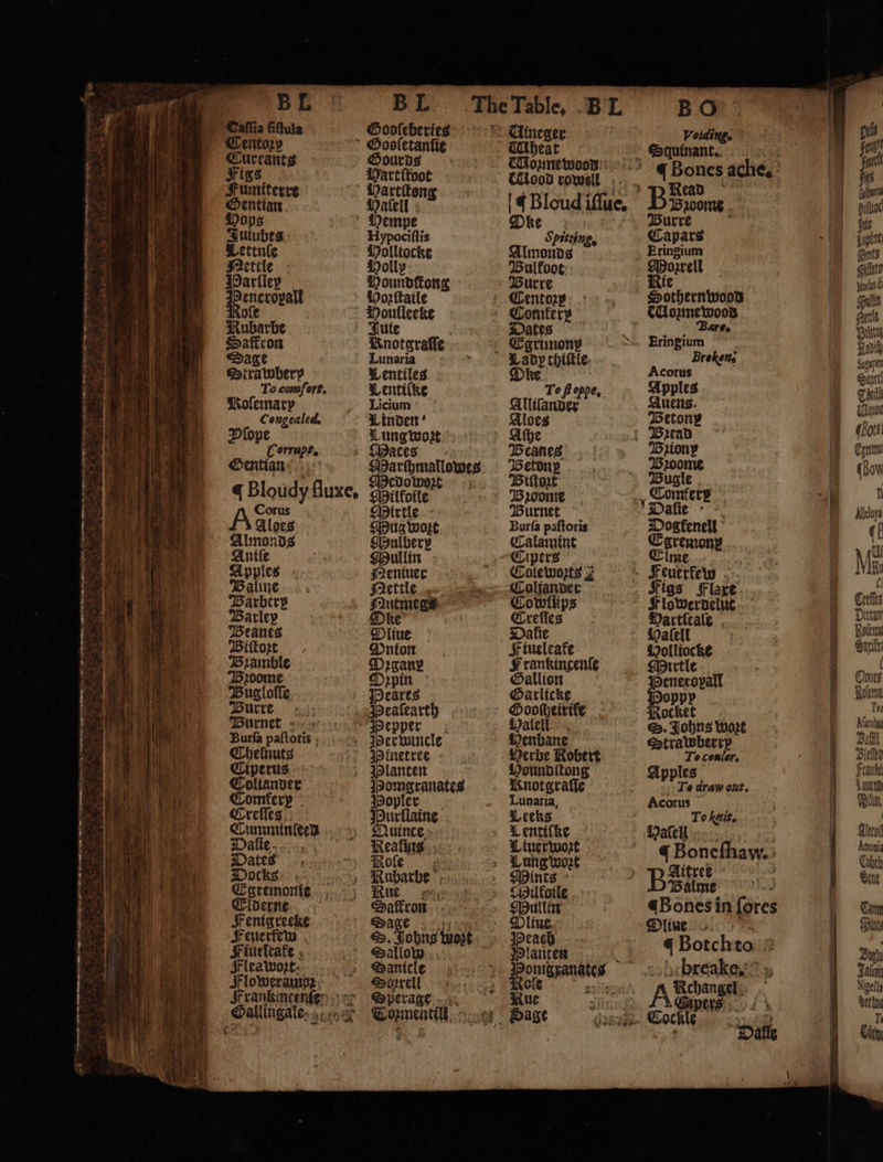 ot Centoꝛzy 1 ‘ pet ood Ui le. BL BO } 5 Currants Gooletantie meger be, Figs ourds cheat Voiding. f E Fumiterrt Warettoot Glonn Squinant.. a ae fe Senn e fee ene che. 1 Jul Hem | ¢ Bloud iſſu Bea 0 , be , Se 2 ö Parlley Polly Suess ptosis | fit | I Re Hage Bure Sorrel iM 950 | Her LCeento Multto 9 oe gat Comte Berbers sd Bee Dage Bnotavafle : Egrin a jae sil ea Sirawhery we entile * - Lad tony ; Eringium 1 os 7 Poy cpt seh To fe e e —. N onceal A ey agape 34 a ie, igo — 18 5 Corrupt. 5 Aſhe Betony em g 5 Gentian arch 1 Beanes Bead un „ mallowe 5 i Brion Fol 9 ae fluxe, Hilton 1 Pian Bucer em * yt. 8 . ; ugle | ae Auen Hud woz Bunce , Comtery * his. 9 1 Walber; Burſa paſtorĩs Dalilie “| , e Muli 2 Calamin Dogfenell aun M pples ullin t «&amp; | a Bale Seige po a je Efnemone | n arbery Zettle woztz Feuetke By: | 4 1 Barley Mutmegs cae Faun 3 peter . Mii 3 Beanes Oke 7 ae Tien 0 ee 1 gore 5 Sune Huta r A bone Digany Fineleafe Datel dum e Bugl Dapin Frankincenſ iolltocke Re „ a we 8 olle 5 Gallion ile Mirtl Vue e Burre Peares Ga 12 = bli * 1 it ae Burnett Pealearth rlicke opall Clos We Wi aa Burſa paſtoti Peppe Hooheirife oppy BR „ NQ. 25 otis 18 14 0 7 Dalell ocket Relea ee 9 Di mele Henban S. Johns w . Ne 3 planets Herb 0 Strawh 15 Man e Coltanver Blanten e eek! Ba H Bie Re: omferx Pomgranates Kn ong Appl conler. Bley Fg) oe Dae 1 Lees Kan Lane H 7 7 0 ; alee E 1 5 : E. F. &gt; j et . dates Nealiis Tan a wie i Docks Rott Tan ea BES mem gun 1 Eſpennenie 92 Mis e ia 1 At de . 1 Ps 2 g . 7 : ’ 11 ree i 0 ee „„ aosnes eat Fiuelea S. Johns wort. Ditue ones in ſores an. Fee, |) Sant ut pag Botchec = i oWweraw2; cle yan otck Mut 6 Ml Tran, e Be e, break a * 1 Gallingale. cna ae 0 t ee 100 re — | ts | 5 5 a Cockle 28 bering D * all Cit