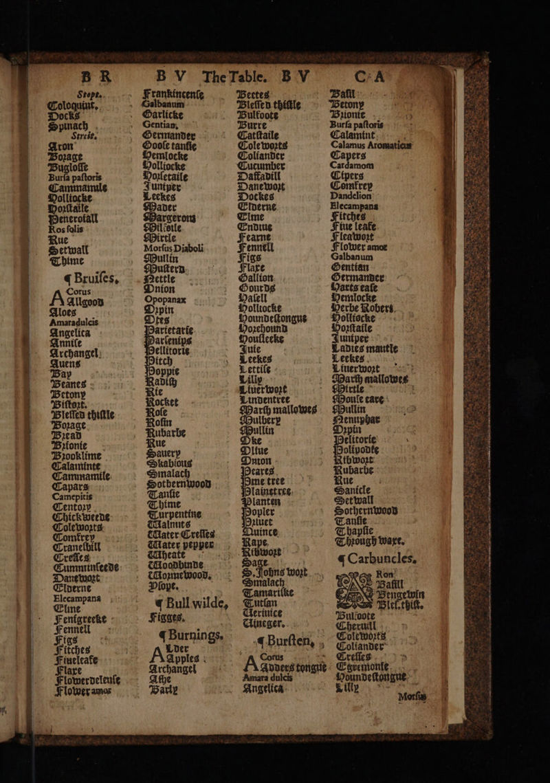 Bugloſſe Burfa paftoris Cammamile Molliocke Amaradulcis Angelica Annile Archangel Auens Bi Bletſed thiſtle ‘Borage Bꝛead Bzionie Bꝛooklime Calaminte Cammamile Capars Camepitis Centoꝛy Chickweerde Cole woꝛts Comfrey Cranelbill Crefies Sammie Dant wozt Elderne Elecampana Elme Fenigreeke Fennell deten Flower amos Frankincenſe Galbanum Gentian, Ooole tanie Oemlocke Volliocke Dorletaile Otes artetarie arſenips ellitorie itch Sinalach Sothernwood Tanſie Thime Turpentine Malnuts Mater Creſſes WMheate Moodbinde Plope. J Bull wilde, Figges. J Burnings. Loder A gppies BV Bee Bictie thiſtle Bulkoote Burre Catſtaile Cole woꝛts Coliander Cucumber Daftadill Moundelongue Bauten Houlleecke Liuerwozt Lindentree arſh mallowes ulbery ullin ke Oltue Pnton Pau me tree lainet res Planten opler Auer 95 2 S. nne wozt Smalach Tamariſke Tutſlan Uerinice Uineger. Burſten, Corus A n tonite Angelleg c A Bail Beton Brionte Burſa paftoris Calamint Calamus Aromatics Capers Cardamom Cipers Comkrep Dandelion Molliockke Poꝛzſtaile Juniper Ladies mantie Leekes i Luer wort 8 mailowes ae care Sothernwood 1 2 Chreand Were. 50 ate acles. NN en HBlel. thiſt. Bull doe Cheruill Colewoꝛts Coliander Creſſes 13 S Fa een Lilly Mortis i ener- —