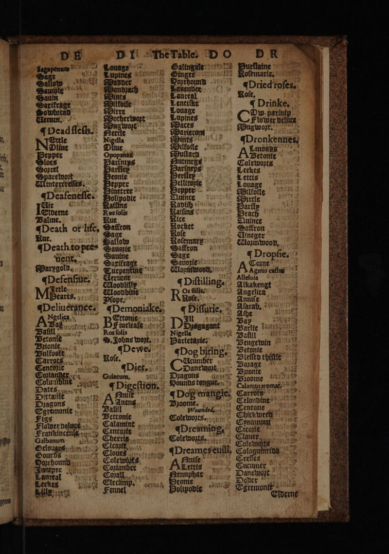 fh ie | | 1 : i ‘i : 1 oo Ettie Sorrel Sparewort intercrelles 8. = i Elderne Balme. Dliue Opopanak arinips arflep tonte epper inetree « olipodie ‘affiitns nue folis Kue. Death to = Uehit, Marygold. 3 2 ec —.— Beares. 51 Hallo Sue Sauin Tie 5 ® Fam 5 Goodlilly 55 e = Ettonit Aga. &gt; bee 0 8 Betone . Johns wont. Bp Bitonie WDewꝛe! Bulfoote g : Tarrots Rofe, 10 Centozie Diet. Cova BAS Quiacum. 8 e June Beeten. Dittaite 9 Be Ae Dragons | b . Aueng r Balill 6 Fee Ca Flatver being f Frankincenſe . CTentoꝛtt Galbanumn = 8 ; Cherris Oelouers Llcozir. Gourds cop: FLEloues 5 Serpent Colewoks Jumper Coꝛtander Laureal ; Coral ue ee Fennel Singer zauender aͤuregl Lovage Lupines Marierom ints Ufotle . Sauoꝛz fte Wozmwosrd. Os felis,’ Role. Dog an Ucumber spouns tongue. Dog magie. 4 oome. ‘ Wounded, :; qDreamin 8. Nniſt Lettis buwodtie urſlaine oſemarie. &lt;i Dried roſes. Role, J Drinke, Cte -parinip Flower delle Mugwoꝛt. yt 4 Dronkenties, Ag? Betonte Colewoꝛts Leekes Lettis OWiltotle ittie arflp each Quince Saſtron Uineger Goumtwoon, Dropſie. Alleluia Aikakengt Angelica Anniſe Bete ; Blelten ithlule Boꝛage Buonte 7 * a Carrots CTelondine Chickweed Cynamom : Cicoꝛie 5 Coloquintids Creſſes i Cutumer ee . 10 remon f Chere