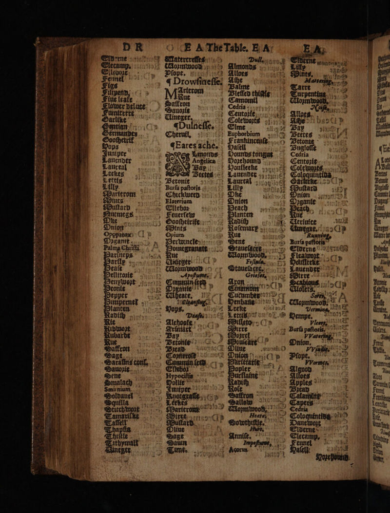 Elderne Elecamp. Ellevoze Femel ~~: Figs Fine leafe ops , Juniper Lauender Latireal Leekeg Vettig Lilly. Marterom Mints 3 utmegs Dke _. Mꝛgane Palma Chriſti arlix eale Sauozie Sene Smalach Smirnium. 7. BE TG * at 8 5 g gan ch ne Umeger. 0 3 Runnin, $Pirre - &gt; Vermi Nise k. * g ie G Vicerg,' Larne, 5 5 pf R ope. N 55 Ps * VVormet, 7)‘ lgood a Alloes Apples 4 dend }