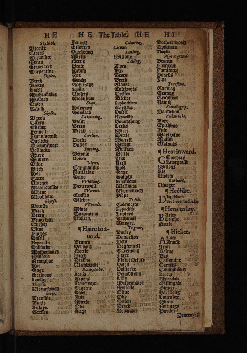 St abbed, Giecotte Cicers Cucumber Mints Stauelacre urpentine an Stiles, Beech Beetes Haſell Maldenhaire Muſtard Dnioi 1 Nadi Skalles Algood Citers Elleboz ennell rankintenſe Garlicke Oꝛoundtwozt olltecke irre Muſterd Ditue Pate“ ofe « Tarre Uineger heat TMoodbine Sbunfi. Alecoſte Beech Beets Bengewin Elleboz Clme » pase afell x Hypociltis - Holliocke WMaipenbaire Thapfia 1 Brambles Bugle Burſa pa. Crefies Fennell: Gelouers irtle Peale Nadich Rue Sauin Sarifrage Squilla iolets Mood bine Stopt. Rofemary Smalach Swimming. Balill ‘Beets Bread Swollen, Docks Galles Furuing, WSetonte Opium Uleers, Cammamilt Purflaine Turpentine Ulolets. Haire to a- void, Beanes itch eaſins ‘Blacke to 58 Halell Sage Elleboꝛ Euphorbium @arlicke ; 875 pociftis Hard Mallnuts 5 9 8 ope Diop 1 15 Cole wozts Nypociſtis Tichimal Cineger. . To grow, Barley Holltocke an ine Dke olemare HI. Dotherntwoed S Thay 205 to gn Beanes Fleawozt Kumiterre 8 tanding vp. Dandelion Lellow to bes: Malnuts Heat inwards Gren; Knotgraſſe Mellons Ri Uineger ö q Hectike. q Hens tolay. Bowe. ea Nettle ete q Hicket. Ao Annile age es Carrets Summe Daucus Filipenduls riley | ) —