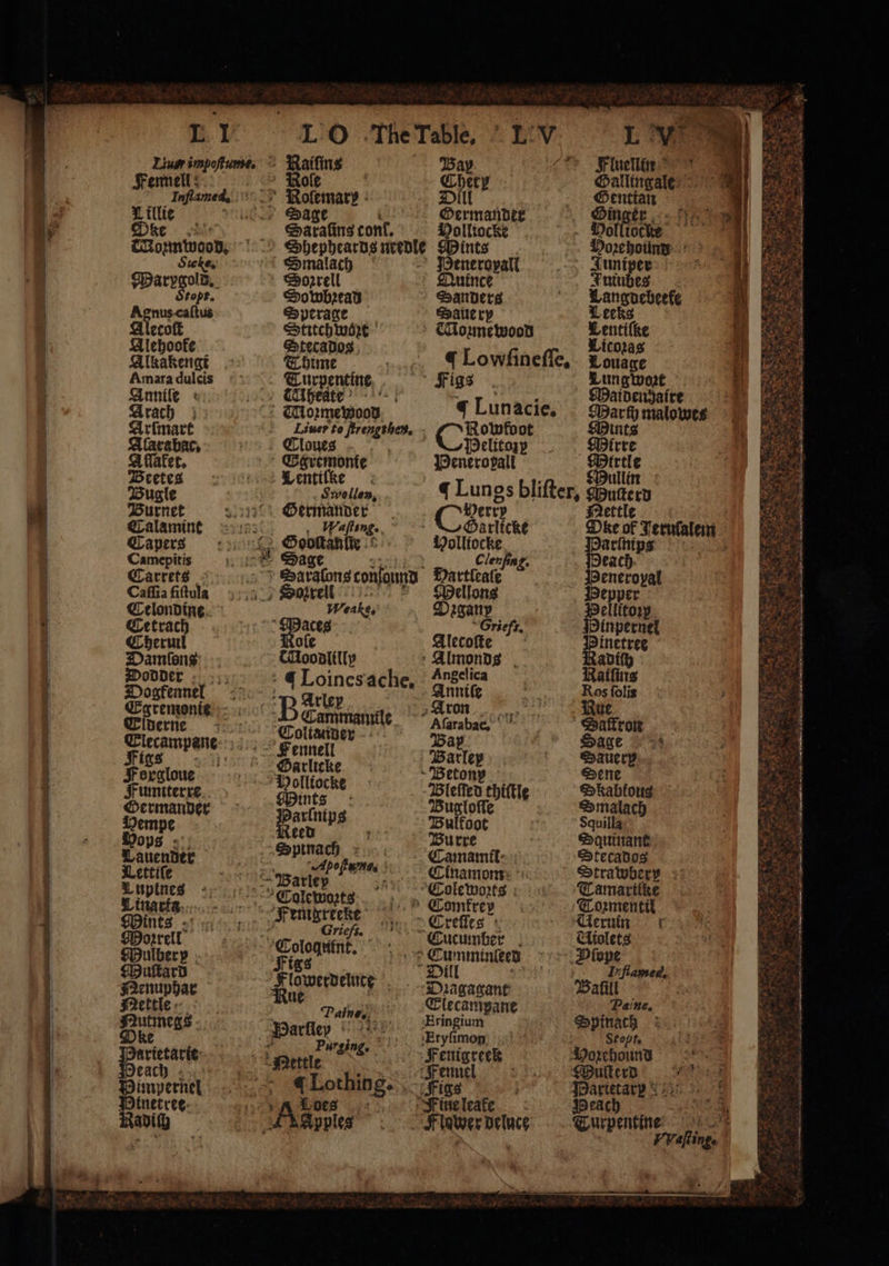 E Mozmwood, Sicke, Marypgold. tope, Agnus caſtus Alecoſt Alehooke Alkakengt Amara dulcis Gonile « Grach | Arſmart Alarabac. A flafec. Deetes Bugle Burnet Calamint S amepitis Carrets Caſſia fiſtula Ctlondine Cetrach Cherml Damſons Dodder Dogkfennel Egremonie Elderne 5 Elecampane Figs 2 11: Forgloue Fumtterre Oermander Tauender Lettiſe Luplines Tituarta Mints Moꝛrell Mulbery Muſtard Nenuphar Nettle Nutmegs Dk e rietarie each Himpernel tnetree Radich — Smalach Sorrell Sowbꝛead Sperage Stitch were Stecados Thime eee, CU feate Cloues Ggremonie Lentiſke Swollen, Germander Sa Weake, aces ofe Moodlilly Coltander Fennell Garlicke Holliocke Mints arlnips ced 2 Sptnach Adoſt ue. Paine, Purging, ¢ Lothing. aſting. . Bay Fluelln Chery Gallingale ie Sate ermander inger Polliocke Volltocke ö Mints Moze hound Beneropall Juniper Quince Fuinbes Sanders Tete eberke Saue ry Mozmewood kel icoꝛas ¢ Lowfineffe, 2 9 Figs Lung wozt 5 f : Watdendsaire ¢ Lunacie, eta malowes / Ci Mints Helitozy Mirre Peneropall er ullin ¢ Lungs blifter, Muſterd Coen ret tle Garlicke Oke of Jeruſalem Polliocke arſntps a Clenfing. each Hartleaſe Heneroyal Mellons Pepper Pꝛganp Pellitory ~Griefs, Hinpernel Alecoſte inetree ‘Almonds , adiſh Angelica Raiſins Anniſe Ros ſolis Aron ur Aſarabaer. Dafron Bap Sage Barley Sauer Betonp Sene Bleſſed thiſtle Skabkoug Bugloſſe Smalach Bulkoot Squilla Bu rre Squinant Wamamil: Stecados Cinamom Strawbery Cole woꝛts Camaritke » Comfrey Toꝛzmentil Creſſes Ueruun f Cucumber Uiolets Cumminleed Diope Dill I flamed, Dꝛagagant Baſill Clecampane Paine, Eringium Spinach Eryſimon Stept. N Fenigreek Vozeho nnn Fennel Muſterd Figs JPartetary | £3 e Fine leafe Heach i Fltwer beluce Turpentine
