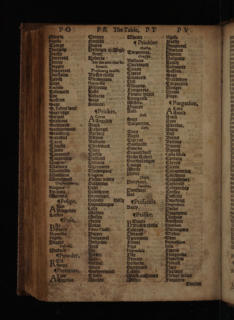 — „ r OE I eT eee OTR ——⸗ñk —.— n . l 3 0 d * 1 . — a a — 1 we INS ; Oe ree 1 1 7 WN Kolemarle Rue Saffron Sage D. Johns wore Sartirage Serwal Stabious Sowbzead — Sothernwoed Stonecrop, Stecados Tozmentil Turpentine Uernin; Malnuts IMoodlitlie Uozmwood Potſeꝶ dxun ke. Heubane lnuts. Ole DAKE, Kolemarte Saffron Sage Ittalubery Turpentine Uineger Ueruin Plope. q Purgation, Loes Annutſe Arach Aron Alarabac. Aueng Bap Bettes Bettonyx Bonie Boome Centone Cherrie Coloquintida Cdlewoꝛts Coryetiower 5 Coꝛnerole Creſſes Datfadil Danewozt r ocks Elateriĩum Elecampant PR. The Table. PT Centoꝛp N AGheate § tas eit a 0 Priuities Bae accent cue, : nbarbe - Gig. * the et ha fo pipe ower Preferuing health. oe Bleiſed thiſtle ener te Raman, &gt; DIL r Aliponie Elltamp. oſin 8 » Fenigrecke. Rubarbe © Aer . age i Rnotgra Sauozies’* 9 — Prickes. Role. Corus act Itch. ee i Curpentine, 1995 ore, » Archangel a krönte Bugle Betonie Eiperug Bulfoote Spot Ge 57 Pose Gourds Toute Sroundſwell Dafa dil Herbe Robert Dittanie Moundeſtongue cement Touage Egremente Wirtle Elecampant 5 tt Se sien slip Flower delure ° N 5 Henr ron Hale 5 P Hawthorne: - Danewozt Bei watt ue 4 — r Walen 10 Pr e Varl. Madder Mullin a ke. Mettle B Ste 1 Blelled tie Palma Chrifti Centozte | Depper Dittante” Dinpernel Egremonie oltpodie Fennel ech Figs ne Filipendula - Rocket Flay’ fe Gentian Setwal Molltocke Sloes 1 Sorberningad ; &gt; Shit Eſula Fearne 1 entgreelt euer ken ennell umiterre . ©