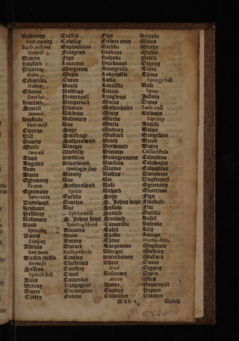 Ae II rae, — As See eee 3 w Soves creeping Burſa paſtoxis Gexerall » Wzome Houle’ w- Planten Green Celondine, H olen: } Elderne Sores hot Monſlek Sorrell Inward » Hozſtaile Sores moiſt Ciperus Will Gourds Mirtle Sores old Bioes Angelica Aren Burre Egremonp To open Egremonp Sores rotten Danewwort Menbane Pelllitoꝛp Rolemary Woad Spreading Wetes Stinking Bileluia Sore ſwoln Bleſſed thiſtle doreneſſe Satron Speech loft Bioes Wetonp Wurre Cherrp * 1 Cowlip ; Enphozbium Pellitozp Peneropall Pimpernel Planten Bib woꝛt Bolemarp Rue Sage Sarikrage Scther nod Gineger THovitlip Woodbine Wozmwood Speaking in fleep Spirits euill Garlike Benbane Holpoke Mozeheund Knotgraſſe Ladypebittic Ricinm Lung wort Maces Maidenhaire Mints Mirrhe Mirtle Mulberp Muſtard Peach Per wincle Planten Pomegranates Purſlain Quince Rating | Rie Bolle Buharb Sailow Sanicle Spitting blood Simonds ices Wetonp Wurnet Burfa paftoris Centorp CTheſtnuts Comkrep Cozall Dzagagant Elecampane Endiue Tamariſke @afeil CThiſtle Thime Curpentine Uineger Waterbetonp Wheat Hard Bolemarp Matter Burre Centoꝛy Cucumber bh 2 . Holyoke Mints Mirrhe Mullin Mettle Oꝛganp Carre Shine Spongy ball Bole Spots Jalmin Dates Scala cœli Walnuts Squine Anniſe 1 Walme Wengert cad Wurre Caſſia fiſtula Celondine Coleworts Columbine Danewore Dogkennell Egremonp Elaterium M orſus diab, Monſeare Mulberp Muſtard Onion Ozgane Oꝛpin Otes Pepper Planten Bad