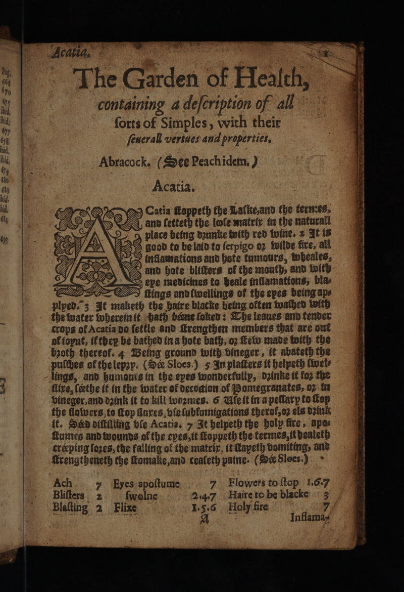 R Bg 7 n I be Garden of Health, N containing a deſcription of all forts of Simples, with their ſeuerall veriues and properties. Abracock. ( Dee peach idem.) Acatia. Catia foppeth the Laſcke, and the termes, and fetteth the lofe matrix in the natavall 9, place being dzunke with red wine. 2 It is ZOD good to be laid to ſerpigo oz wilde five, all 3 A ‘nflamations and bote tumours, twbeales, DEIR Z and hote bliſters of the month, and with ve medictnes ta beale fnflamations, bla⸗ u deeings and iwellings of the eyes being ape plped. 3 It maketh the batre blacke being often walhed with the water wherein it bath bene ſoked: The leaues and tender crops of Acatia do ſettle and ſtrengthen members that are out of ioynt, i they be bathed in a hote bath, o2 Keto made with the bzoth thereof. 4 Being ground with vineger, it abateth the puſches of the lepzy. (Ser Sloes:) 5 In platters it helpeth lwel⸗ lings, and humours in the epes twonderfallp, dzinke it fo the flixe, ſtethe it in the water of decodion of Pomegranates, oꝛ in vineger, and d2ink it to kill woꝛmes. 6 Ule it in a pellary to Cap the flowers to fop dares, vſe ſublumigations cherol, oꝛ els dink it. Send diſkilting vle Acatia. 7 It helpeth the holp fire, apes fumes and wounds of the epes, it moppeth the termes, it bealeth creeping lozes, the falling of the matrix it ſkapeth vomiting, and ſkrengtheneth the Komake,and cealeth paine (Ser Sloes.) — is — — ae te 2 “a? pie — * . SPREE RATS La : 5 5 * n — — — . . eer 8 — n . ———— ,. toe cater nein sk) Ee wate — eS Ach „ Eyes apoftume 7 Flowers to ſtop 1.6.7 Bliſters 2 ſwelne 24.7 Faire to be blacke 3 Blaſting 2 Flixe 1.5.6 Holy fire Dirge 1 oe | | Inflama⸗